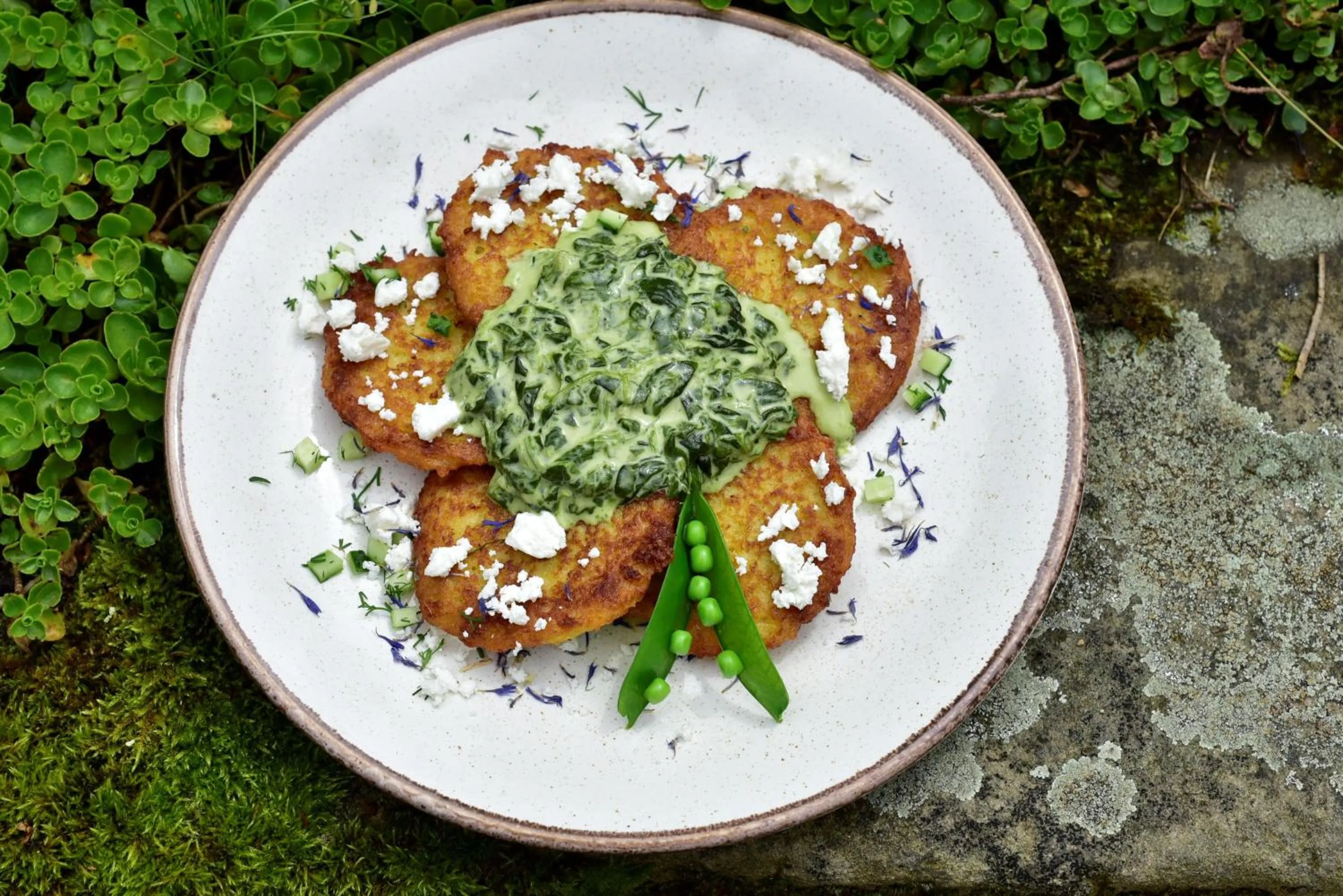 Lunch in Gościniec Nowa Wioska