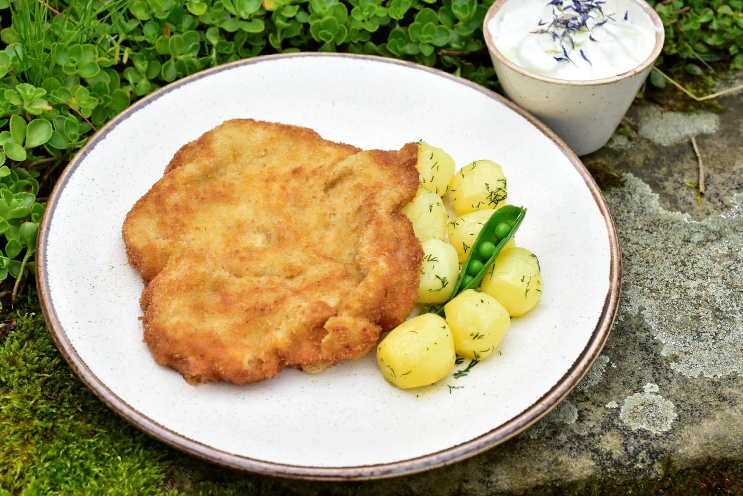 Lunch in Gościniec Nowa Wioska