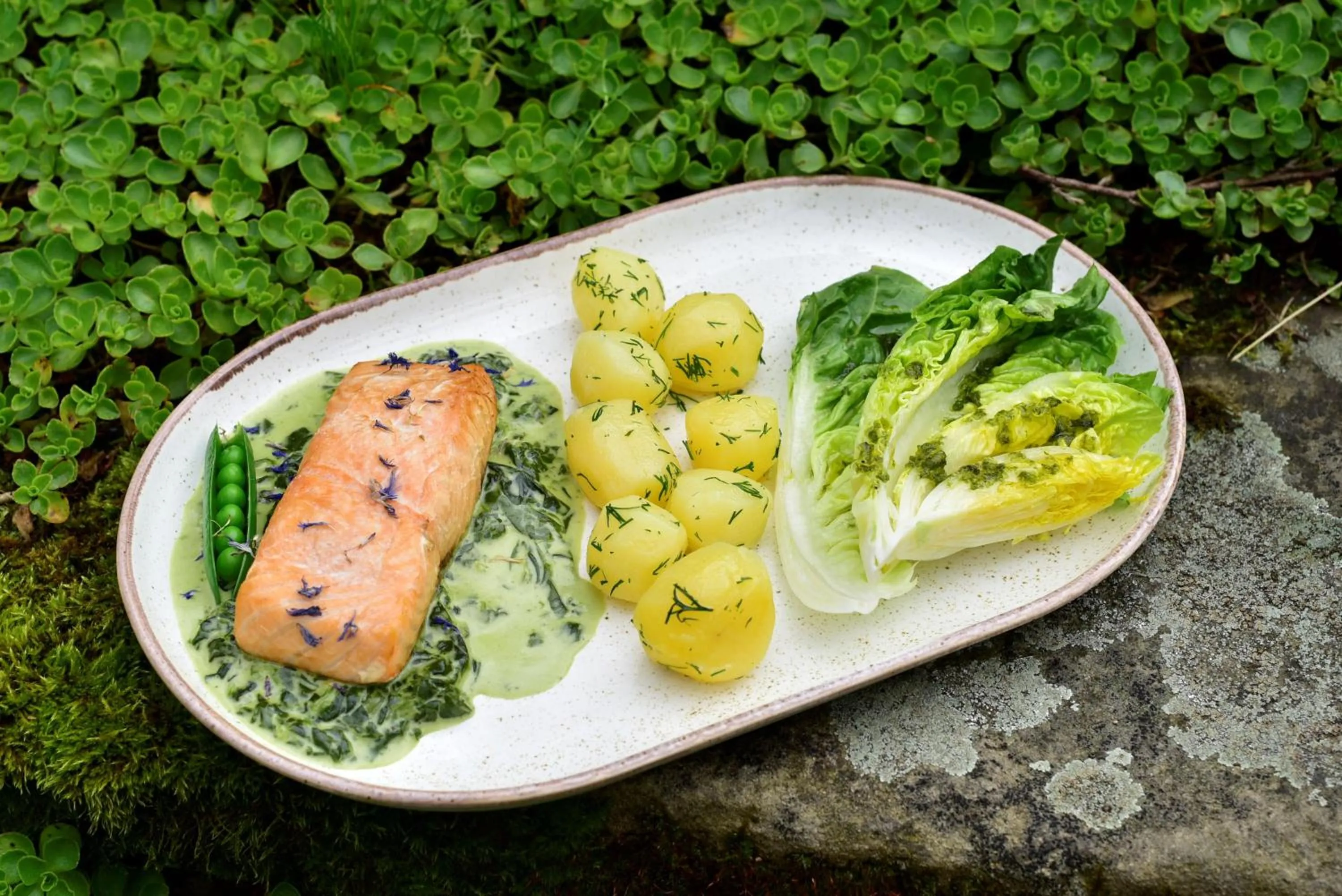 Lunch in Gościniec Nowa Wioska