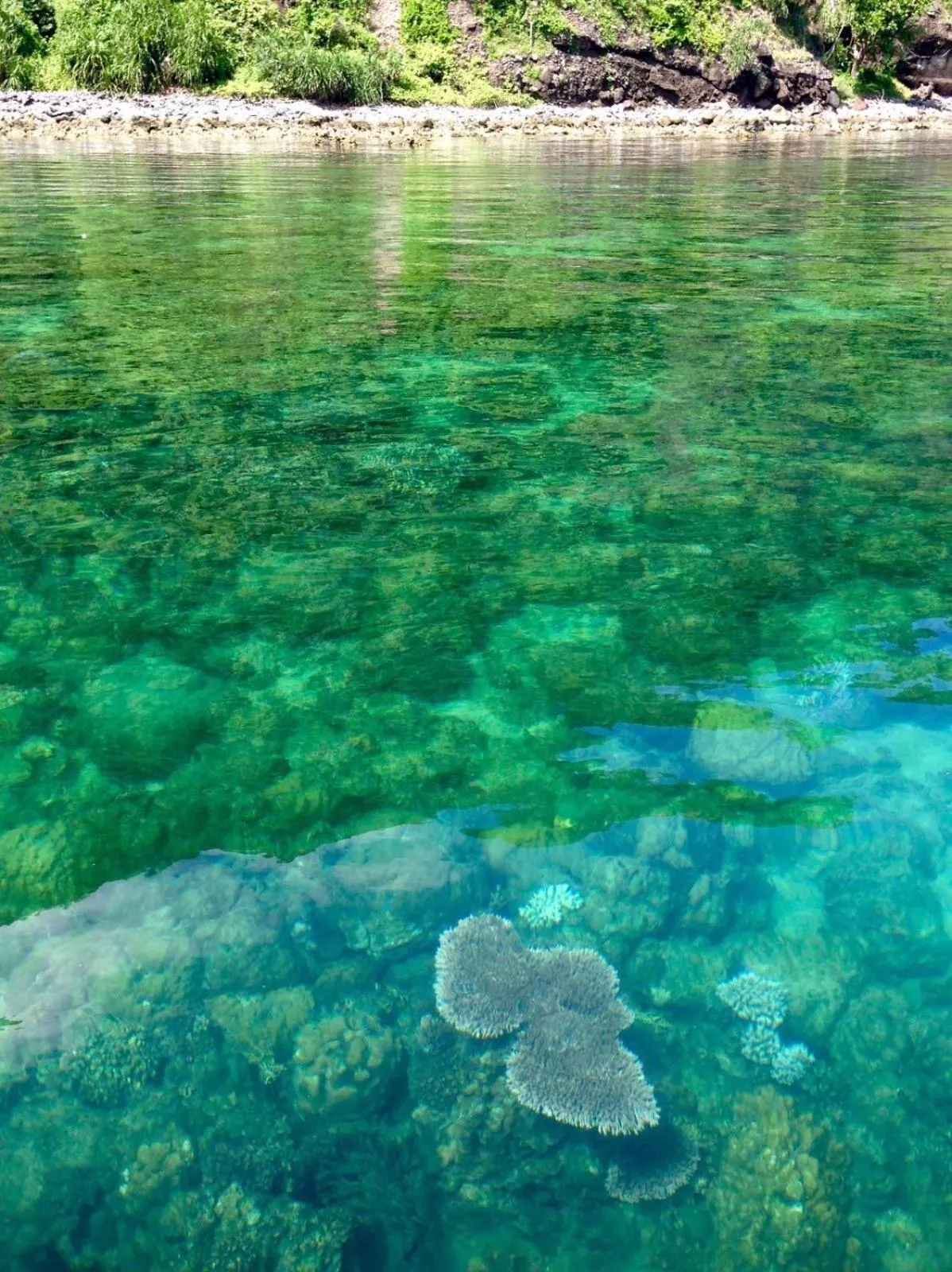 Nearby landmark in Calayo Beach Resort