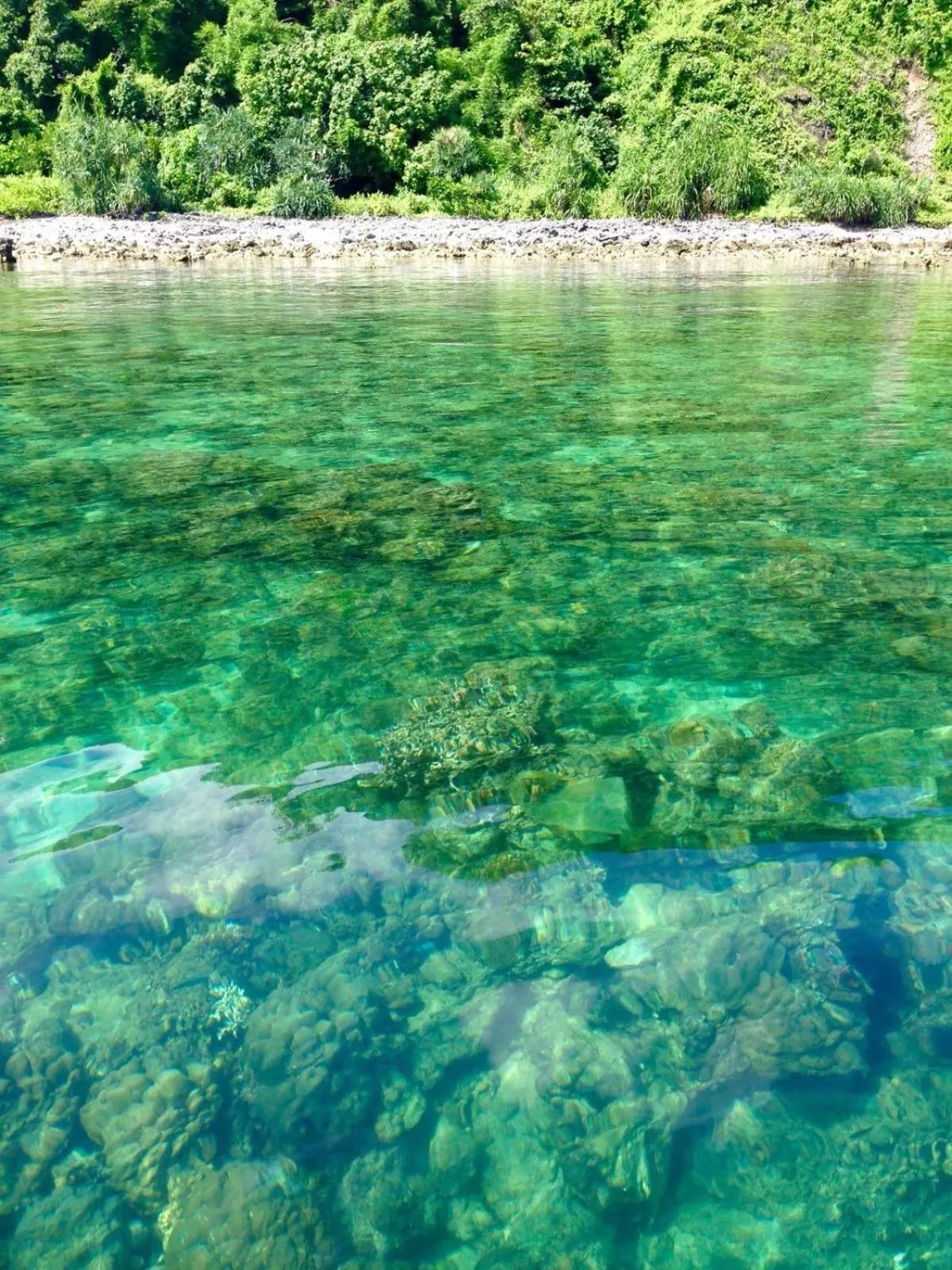 Nearby landmark in Calayo Beach Resort