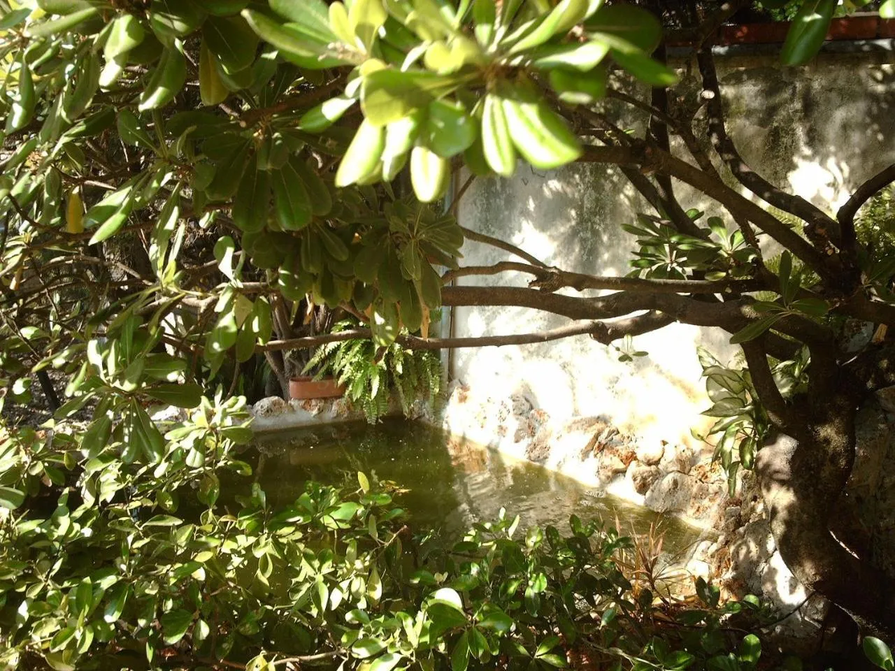 Garden in Le Villi FRIENDLY B&B