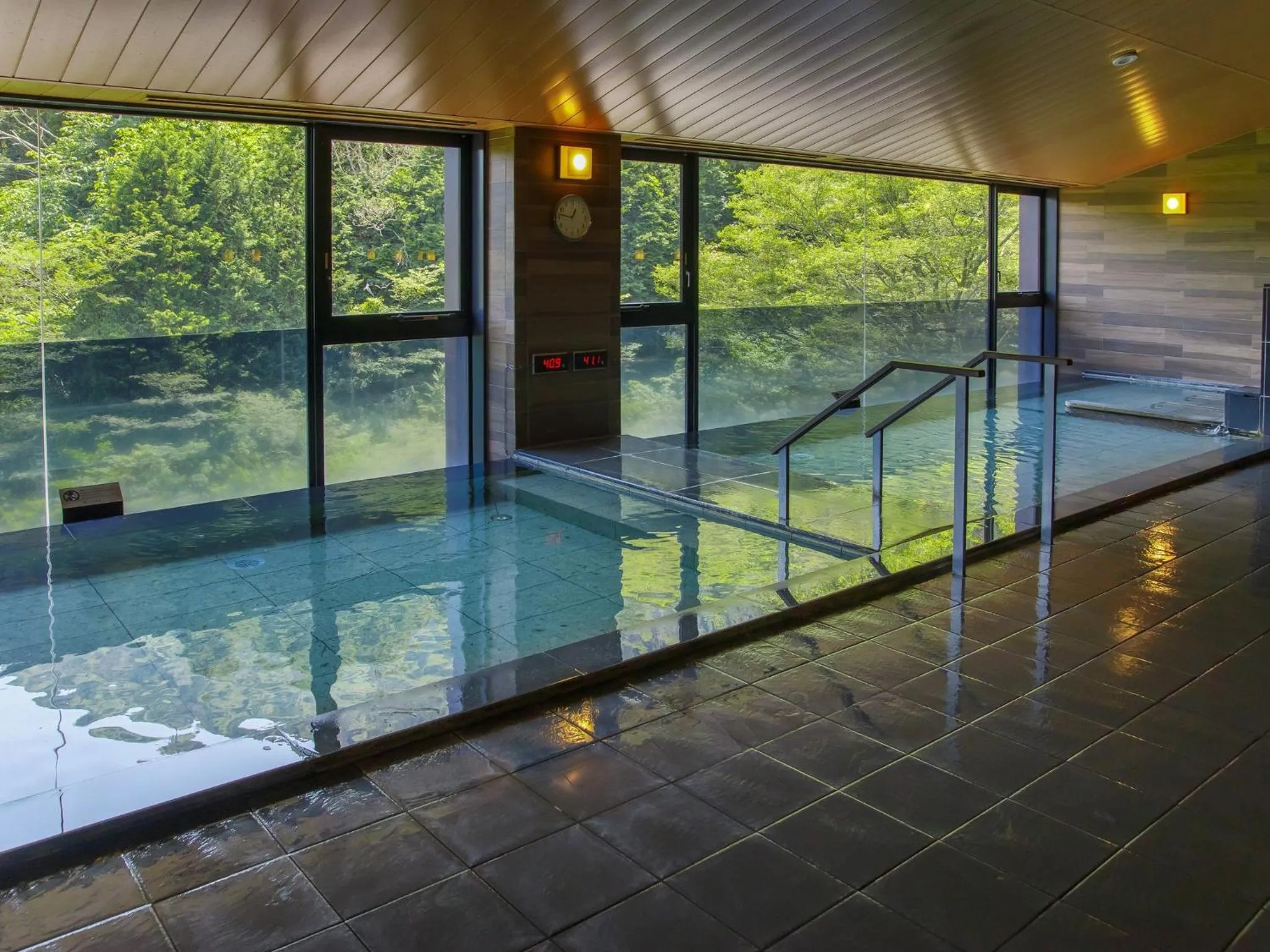 View (from property/room) in Hakone Kowakien Tenyu