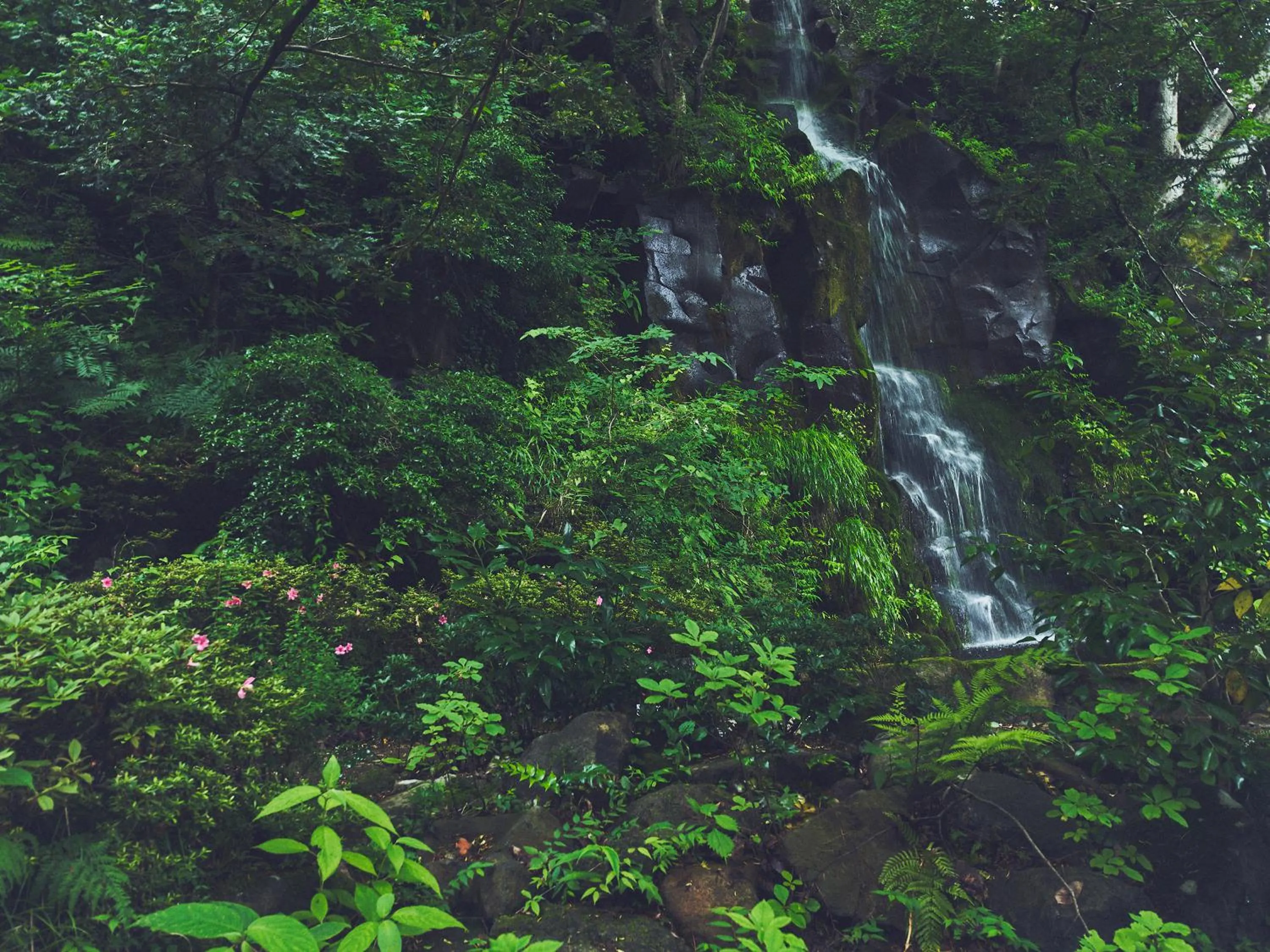 Natural landscape in Hakone Kowakien Tenyu