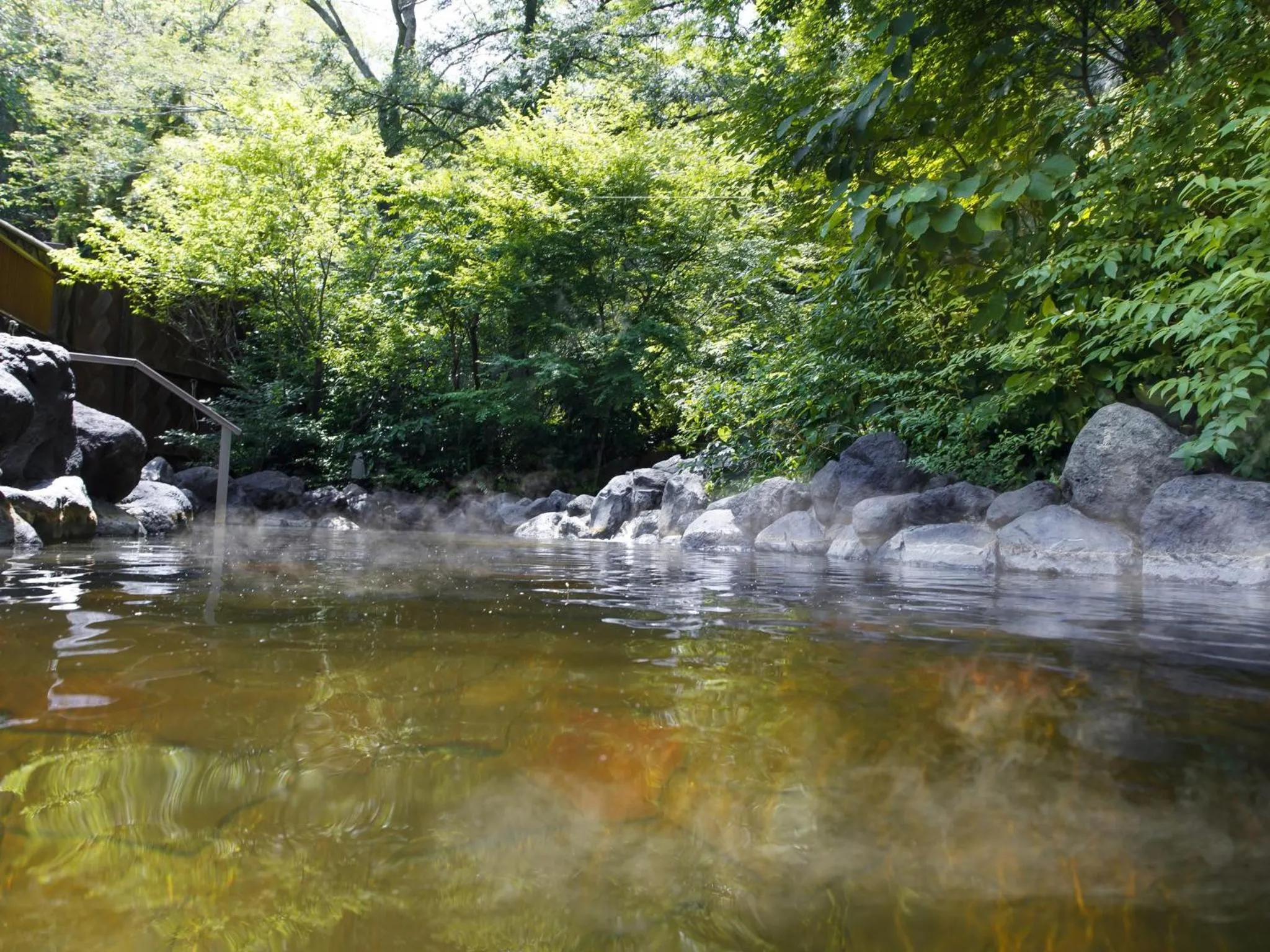 View (from property/room) in Hakone Kowakien Tenyu