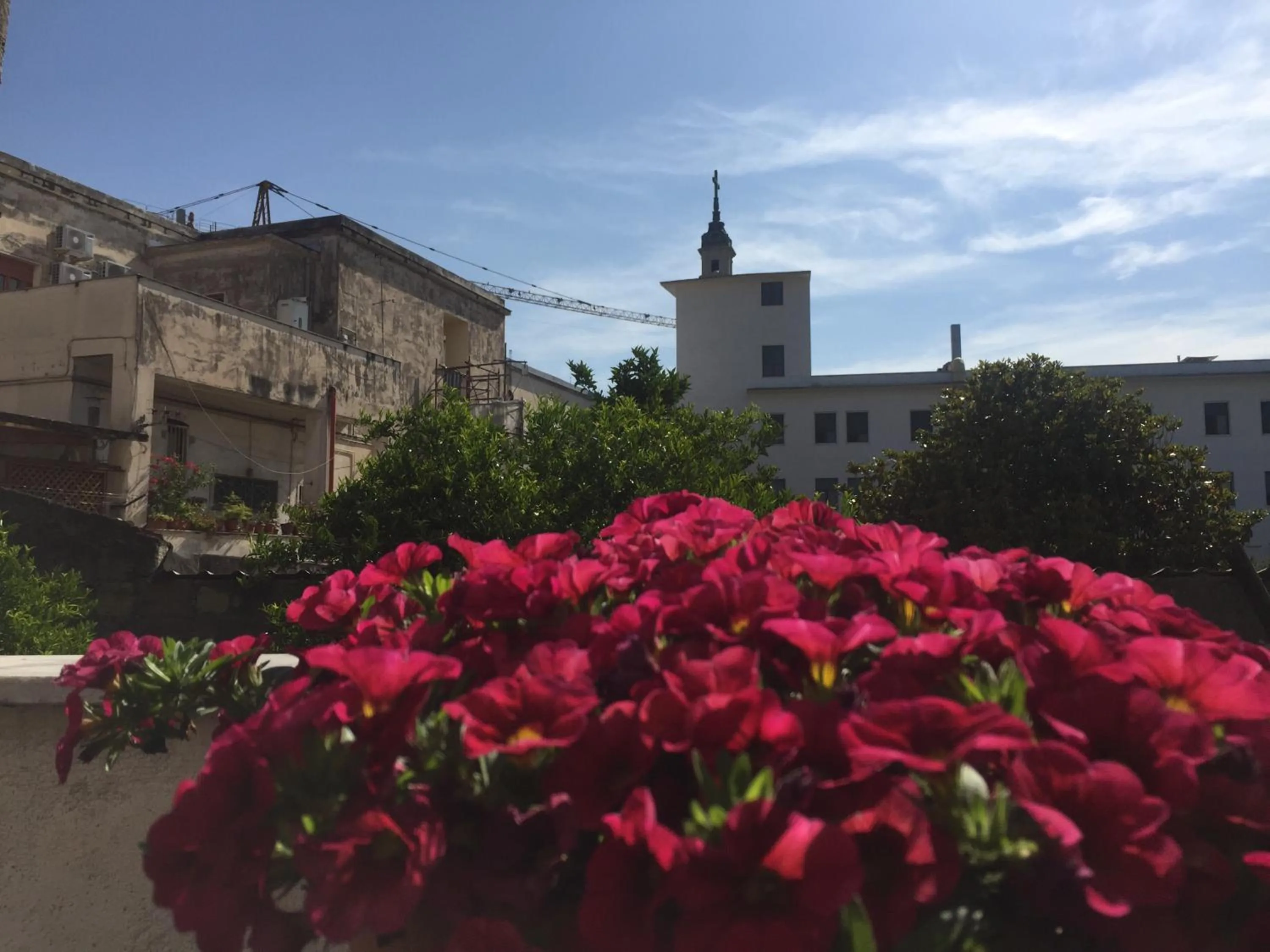 View (from property/room) in B&B Feni