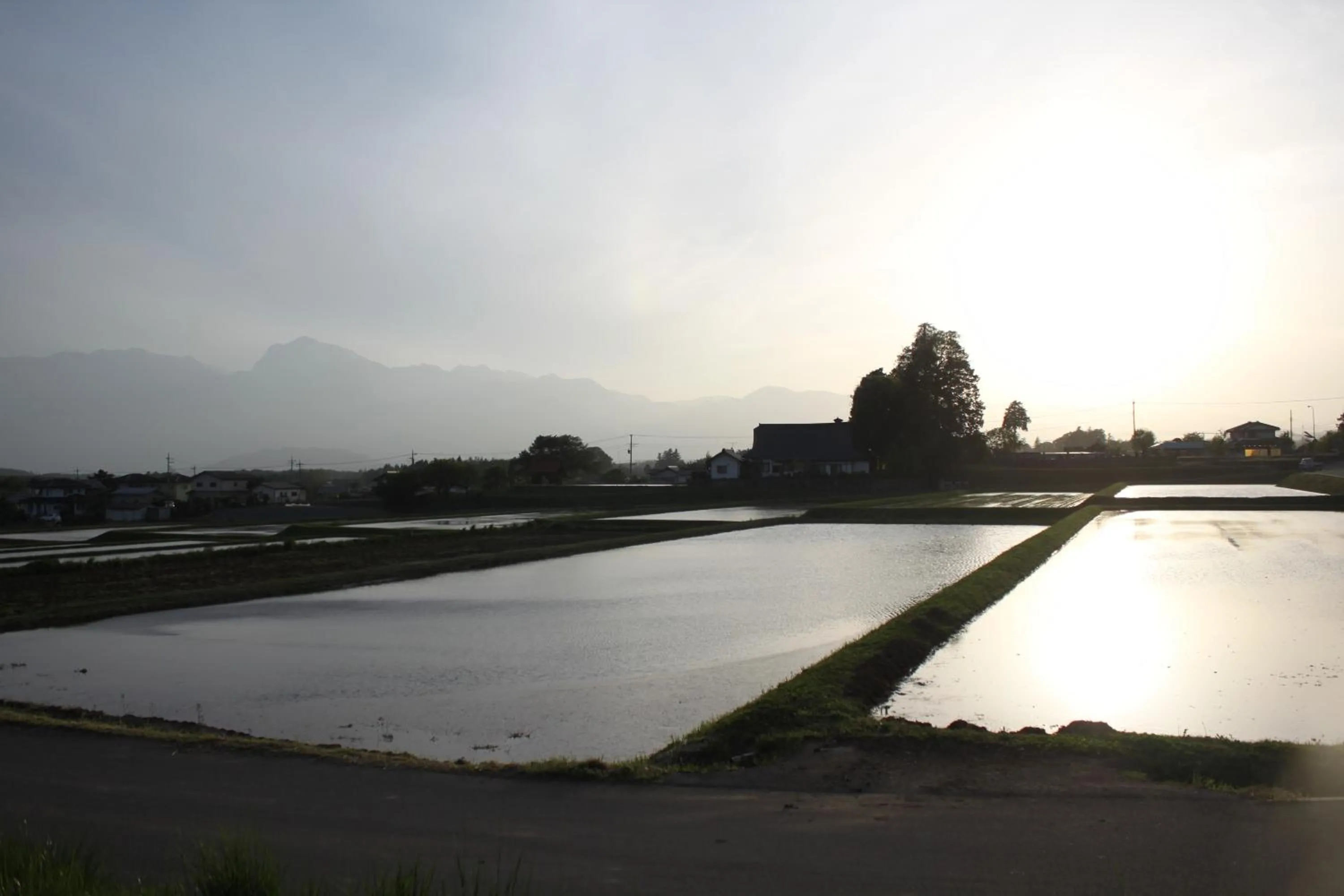 Spring in Twin Dome Ryugu