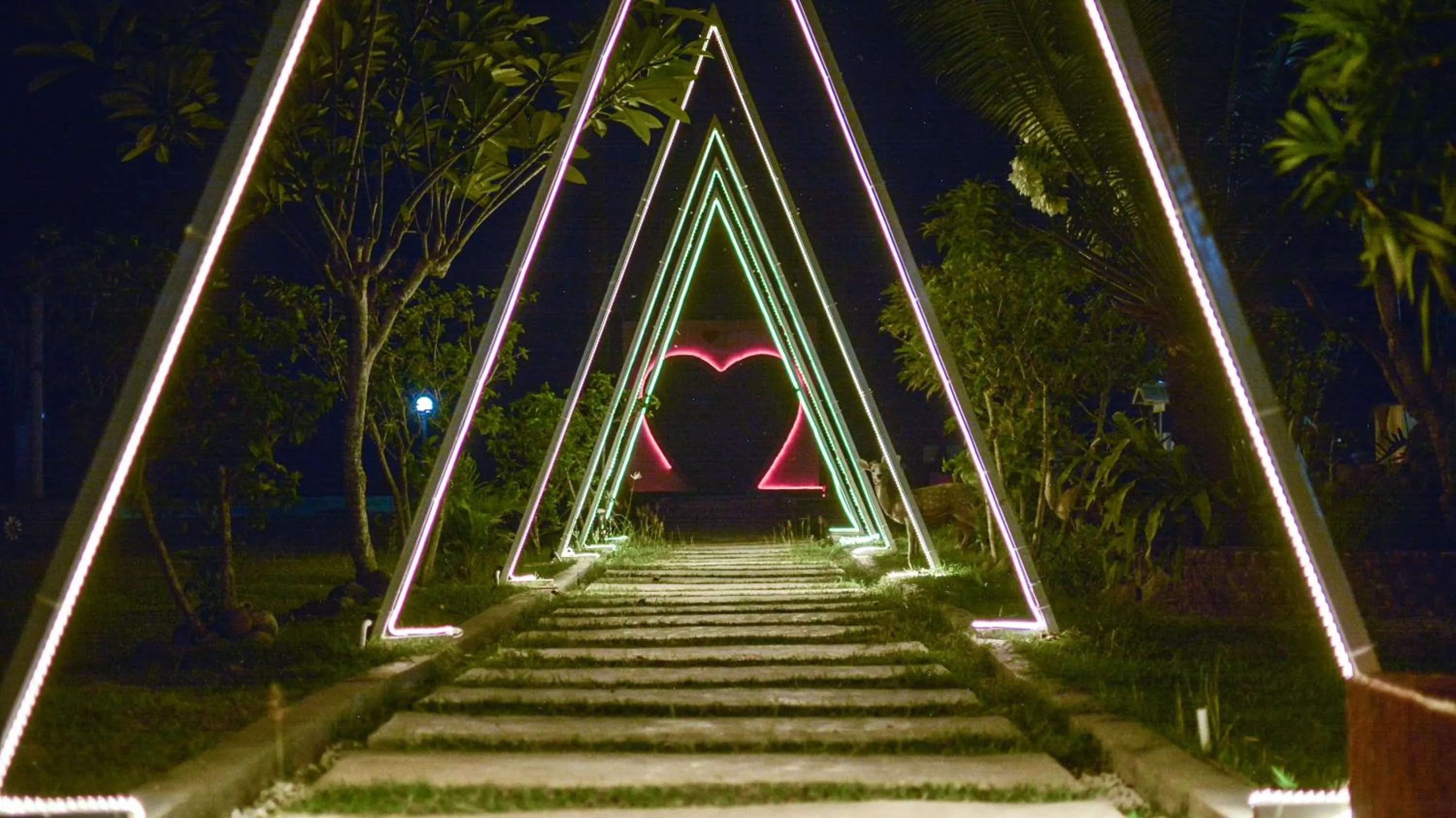 Night in Allisa Resort Hotel