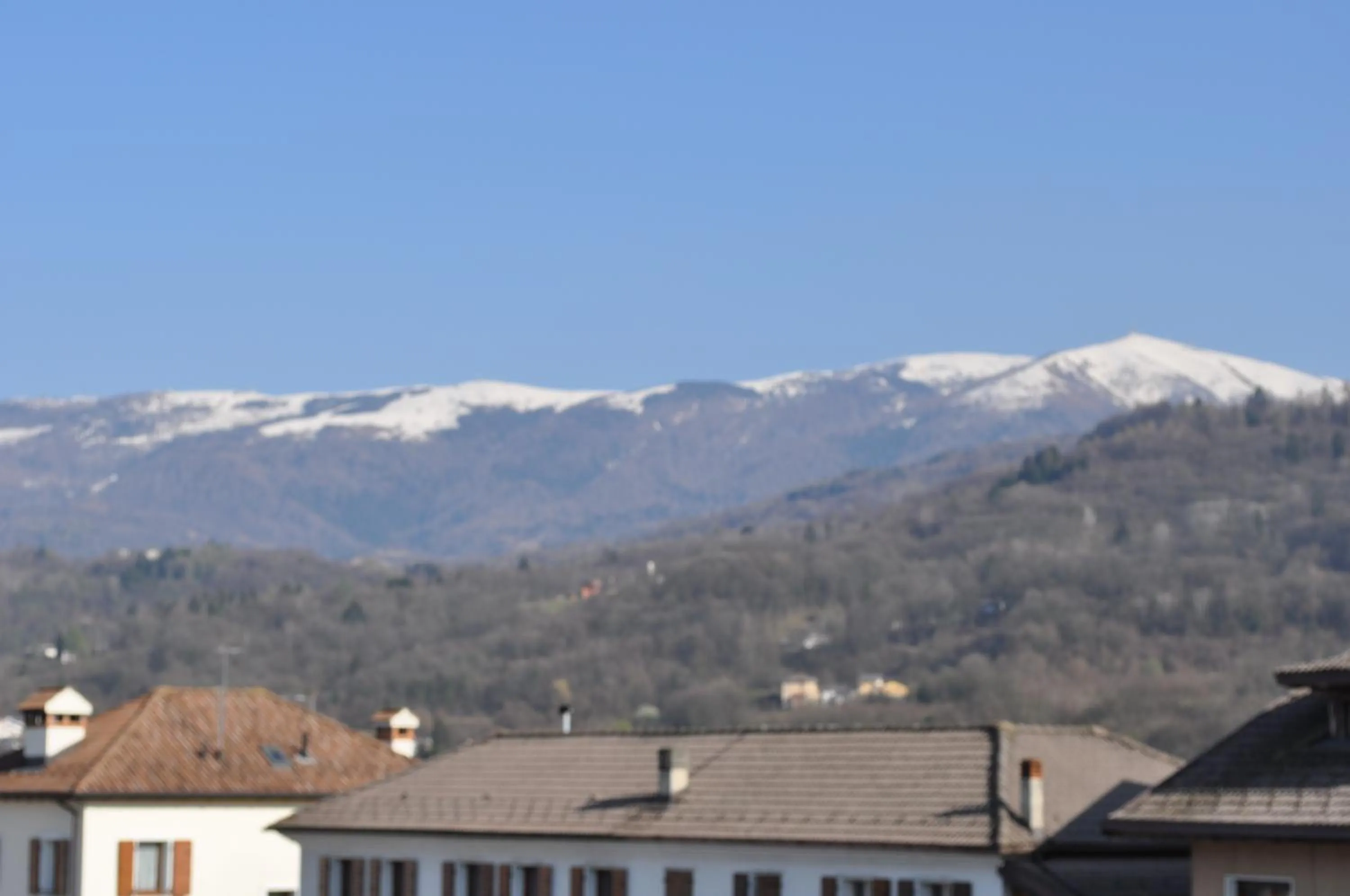 View (from property/room) in Hotel Piol