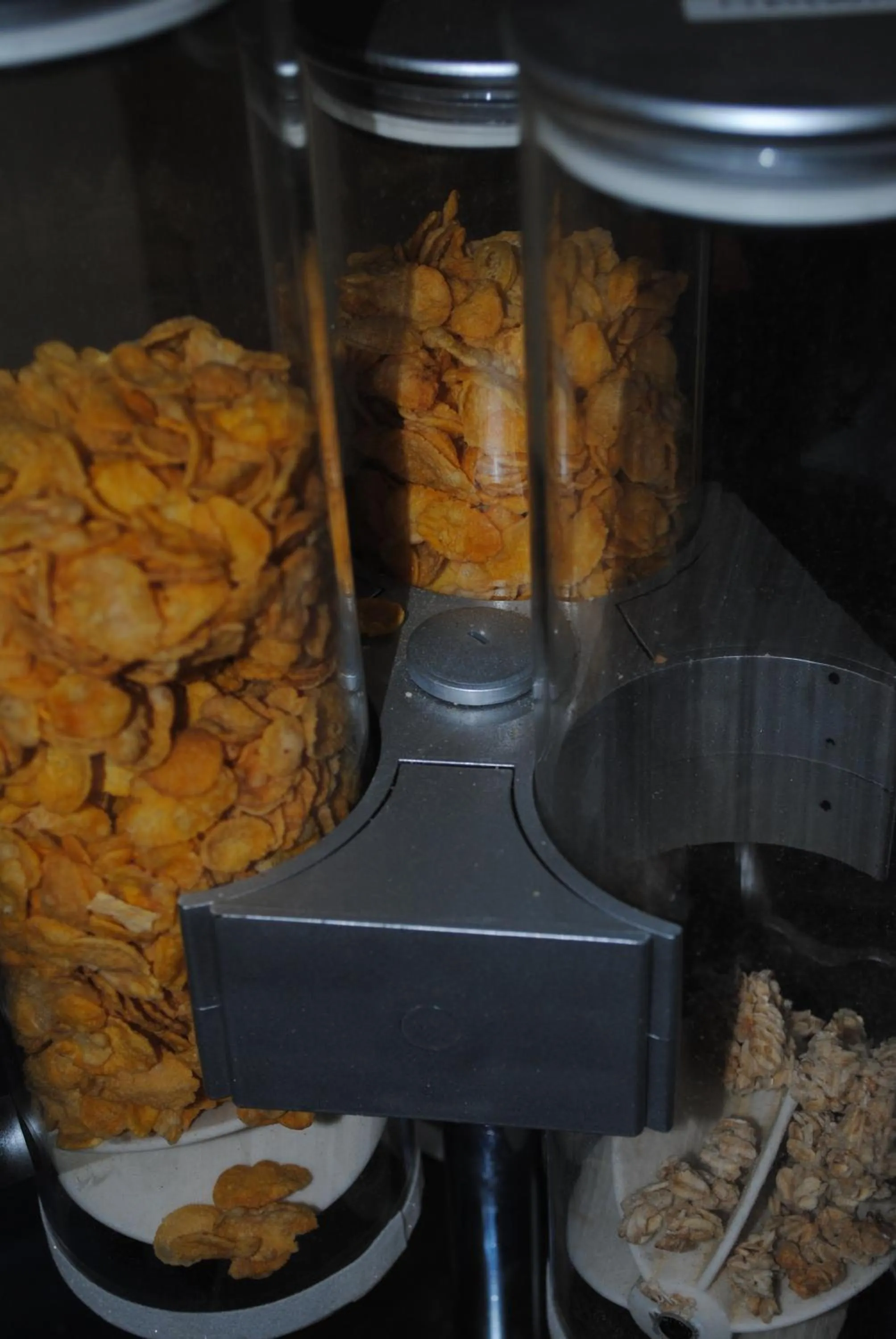 Food in Hotel South Paradise