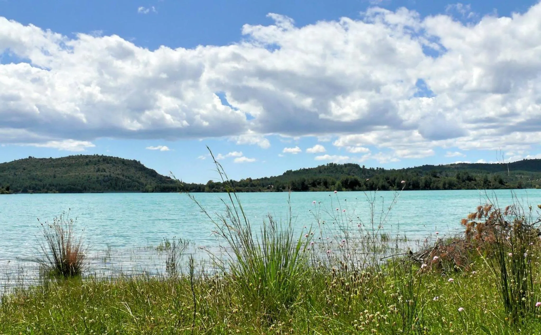 Natural landscape in Gran Hotel Toledo