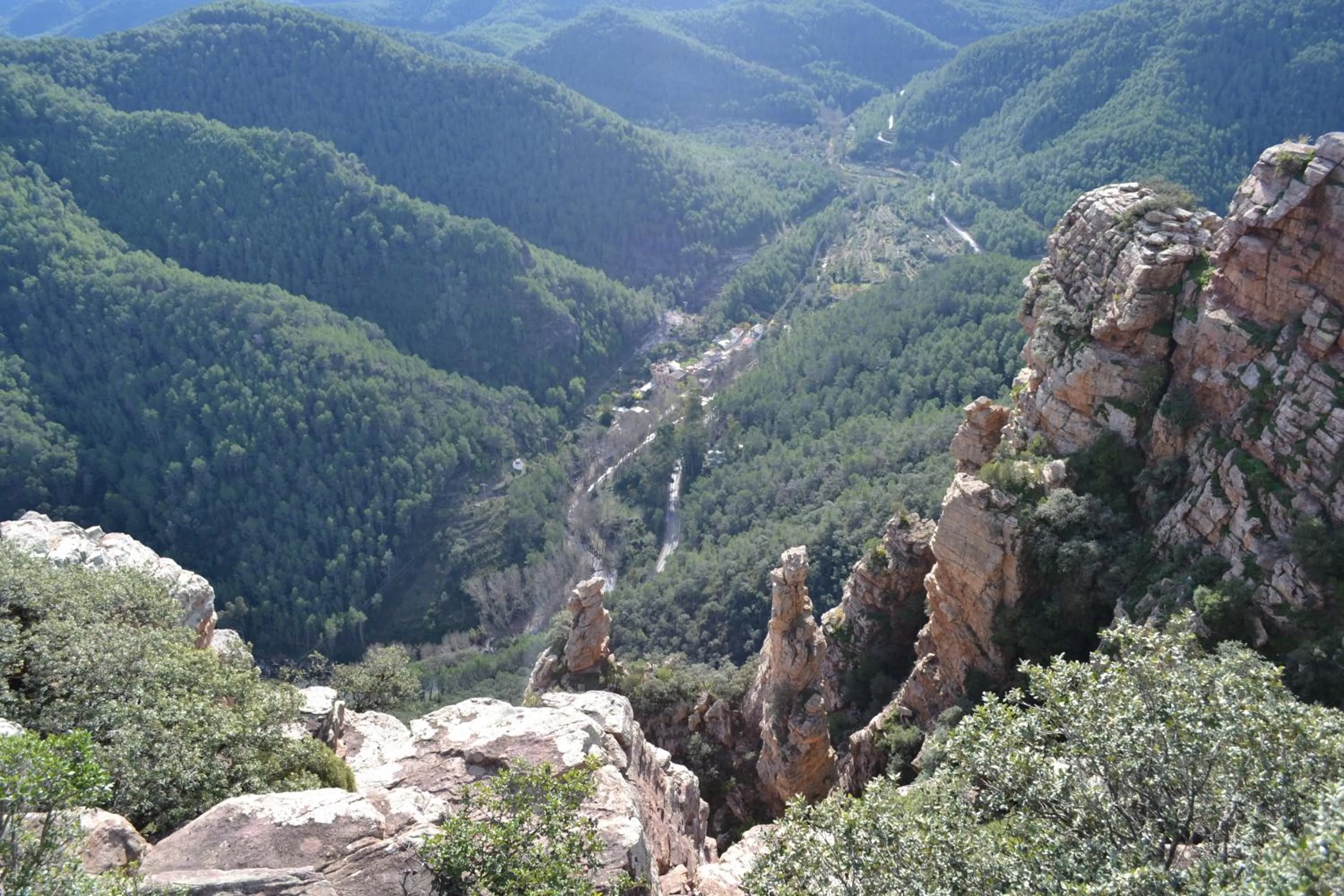 Natural landscape in Gran Hotel Toledo
