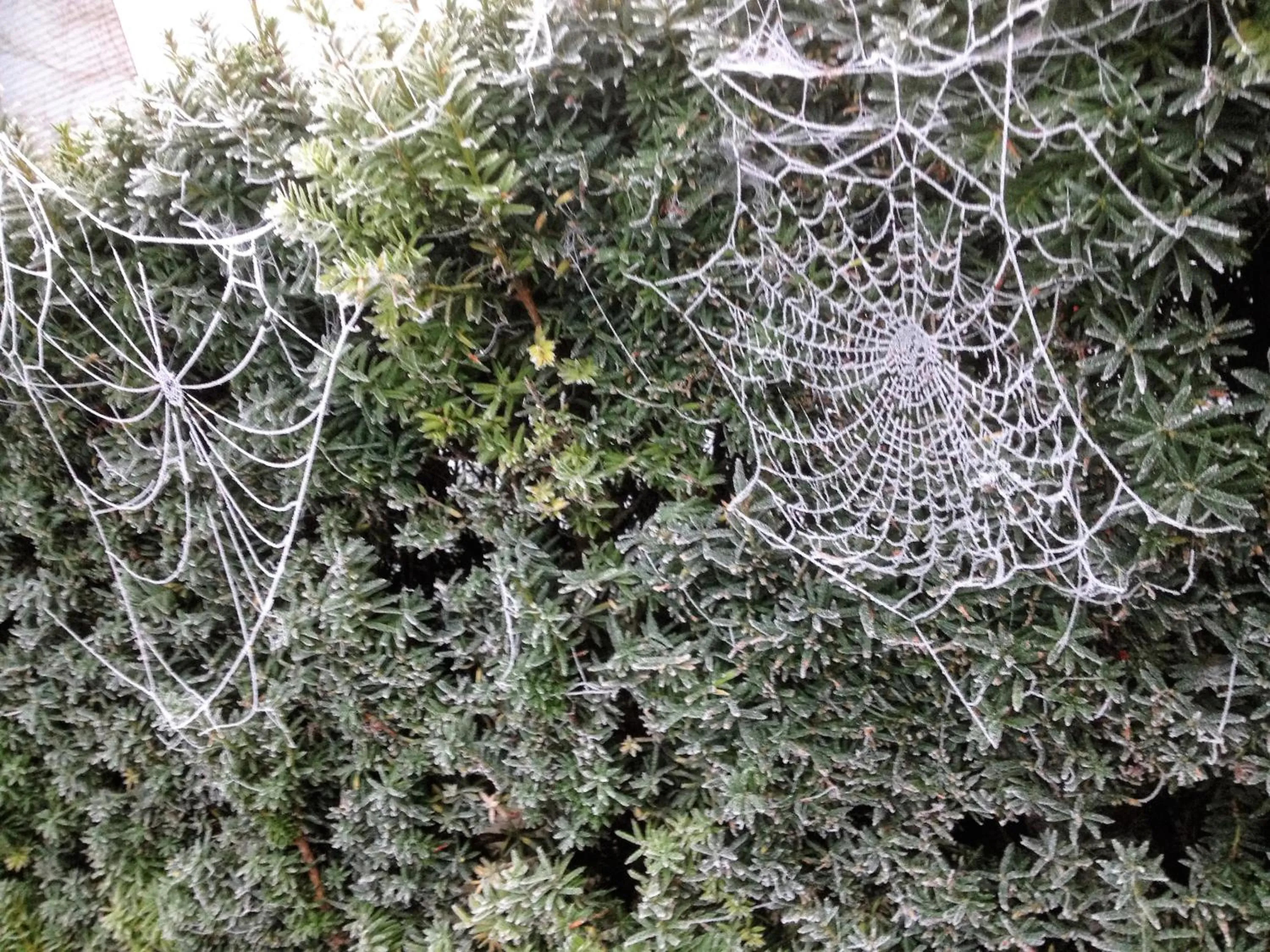 Winter in B&B 't Pakhuis