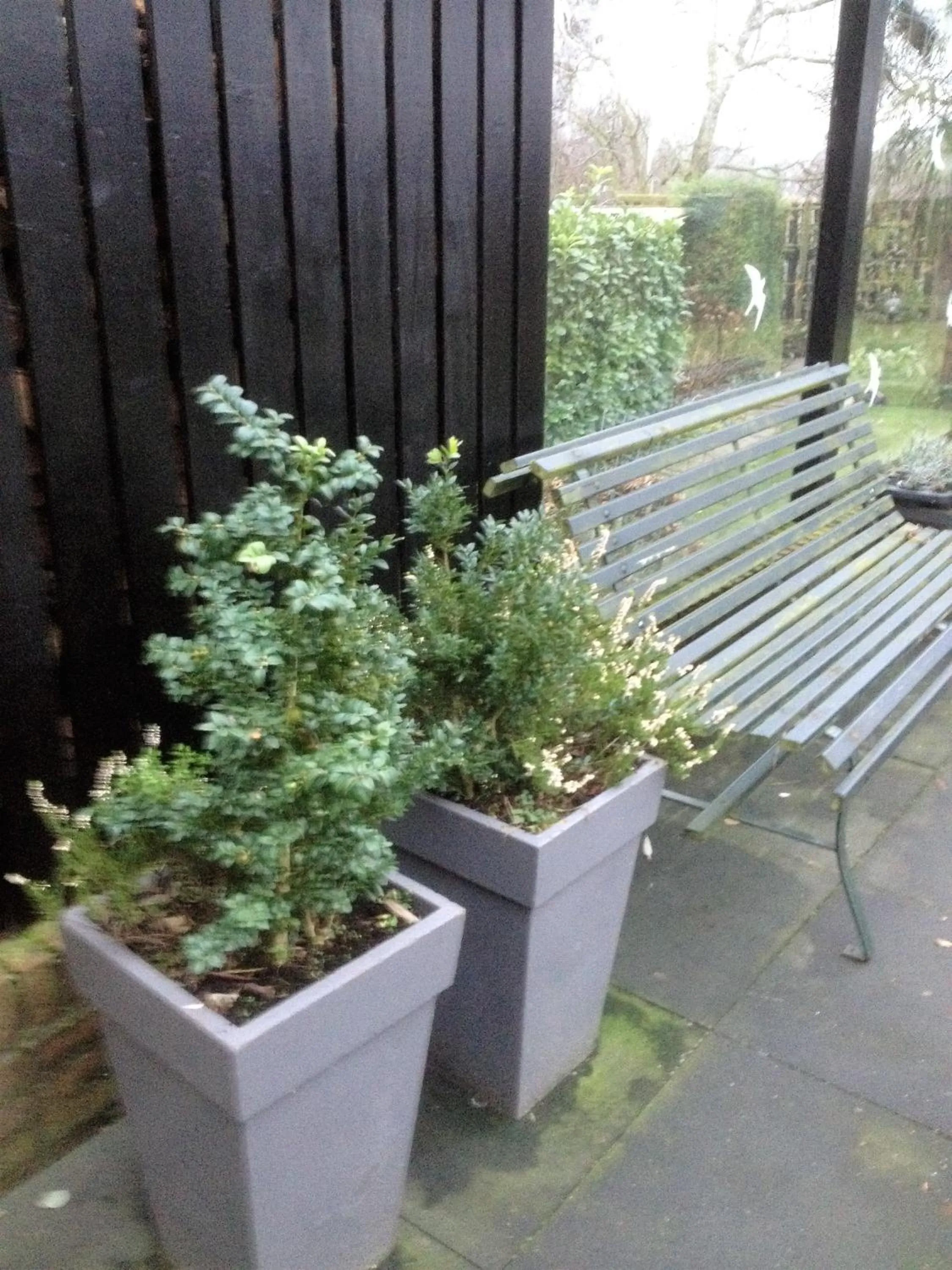 Garden in B&B 't Pakhuis