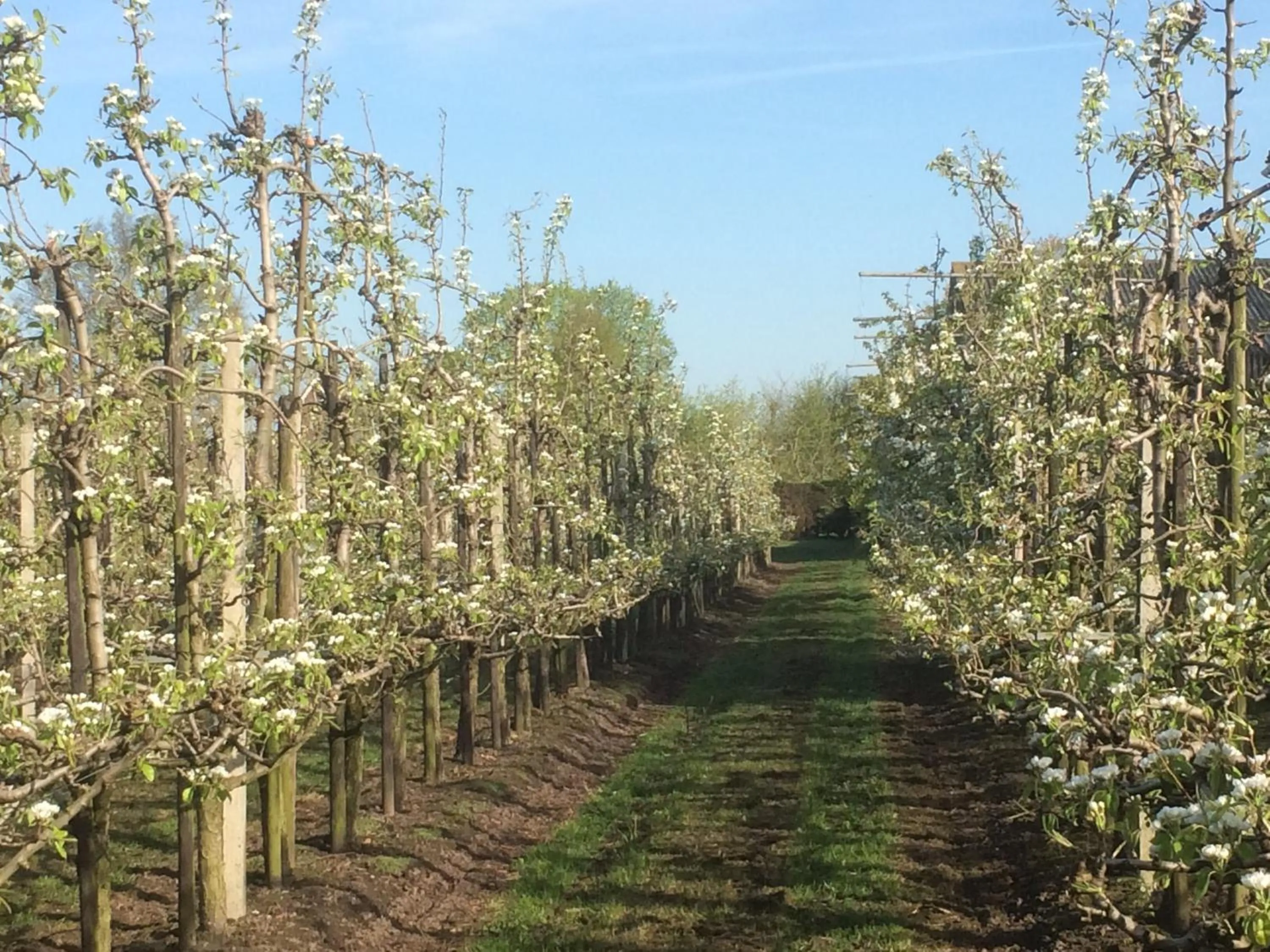 Natural landscape in B&B 't Pakhuis