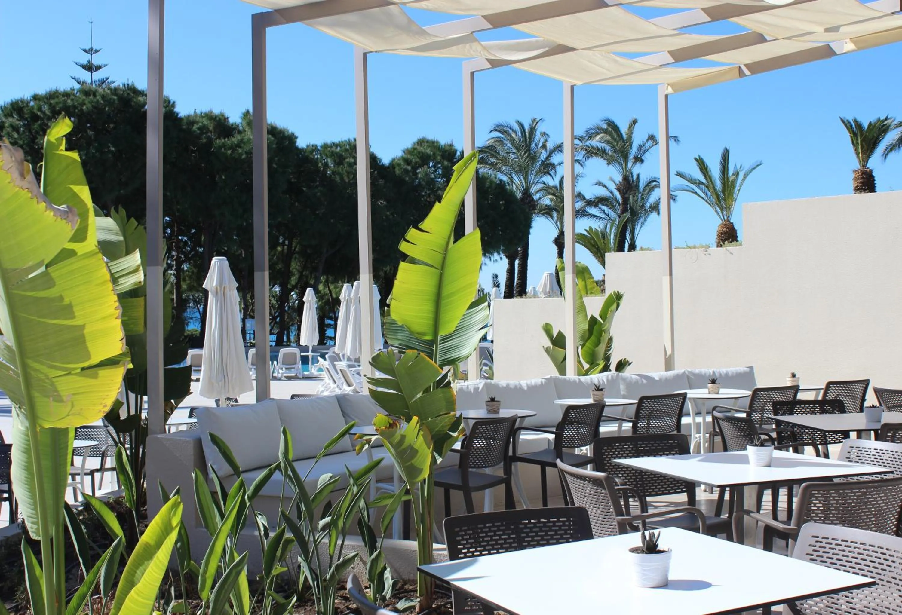 Spring in Paloma Perissia