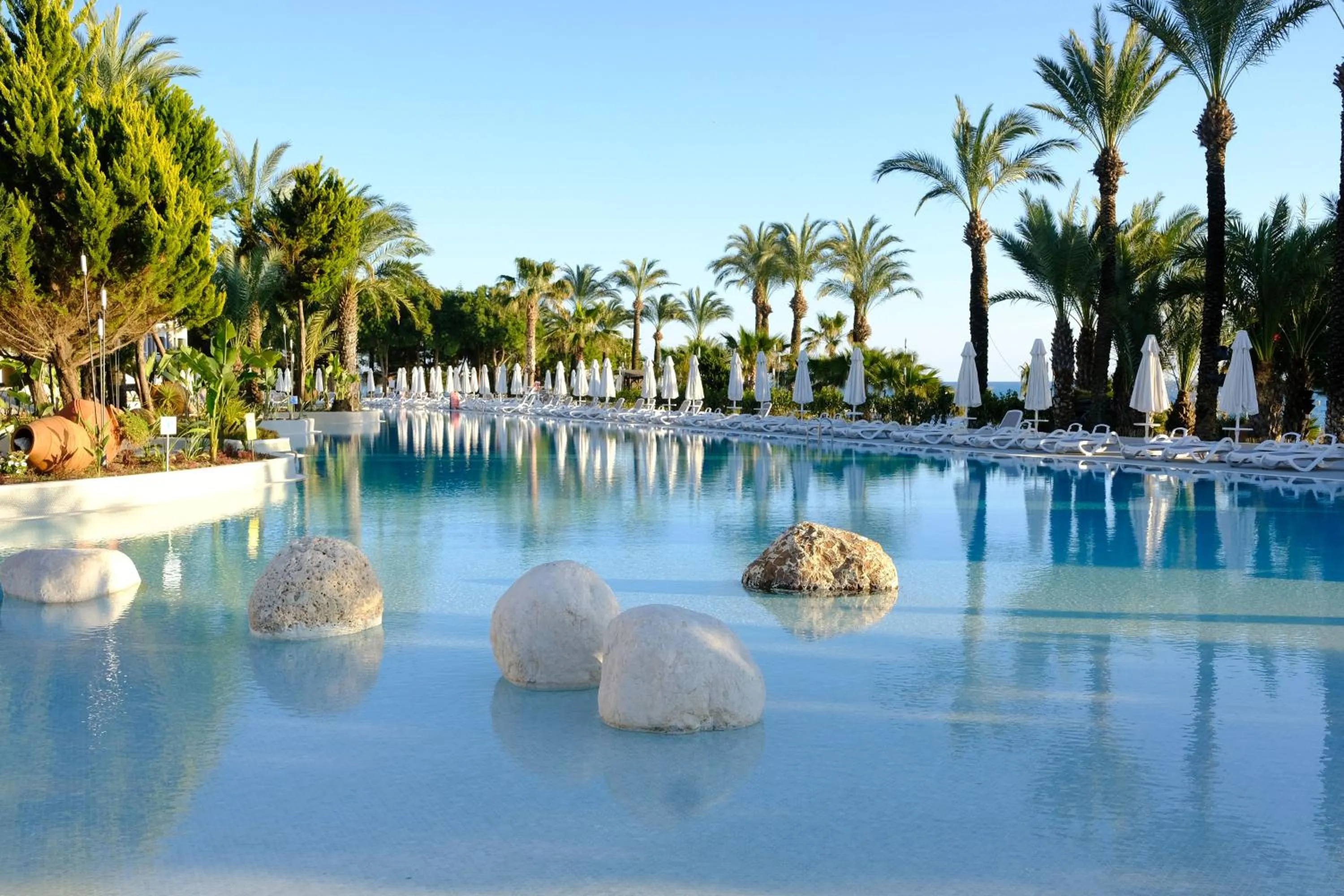 Day in Paloma Perissia