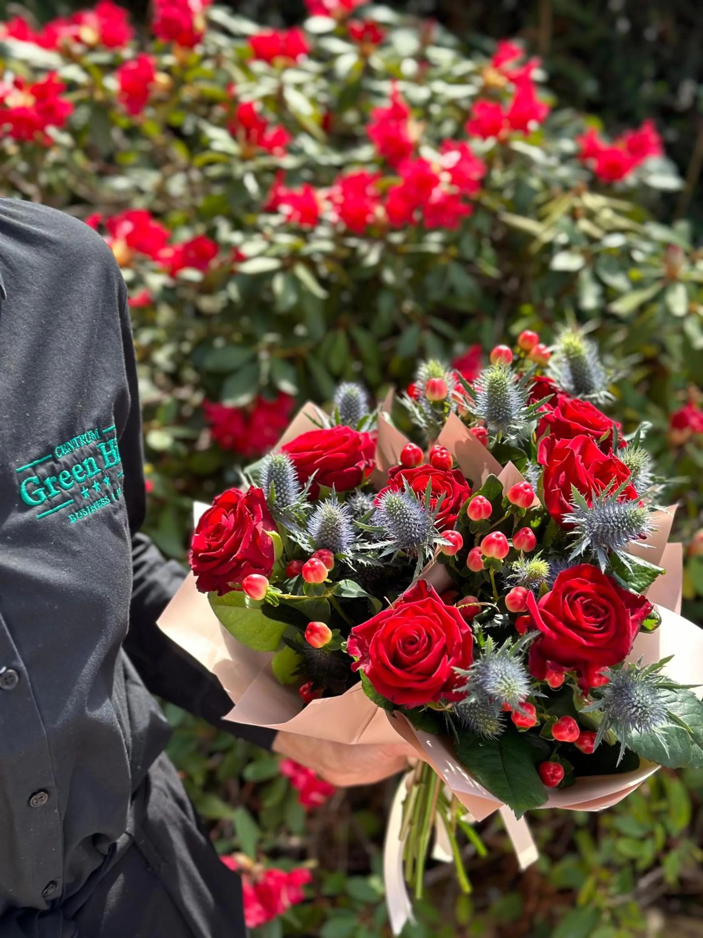 Property building in Centrum Green Hill Business & SPA