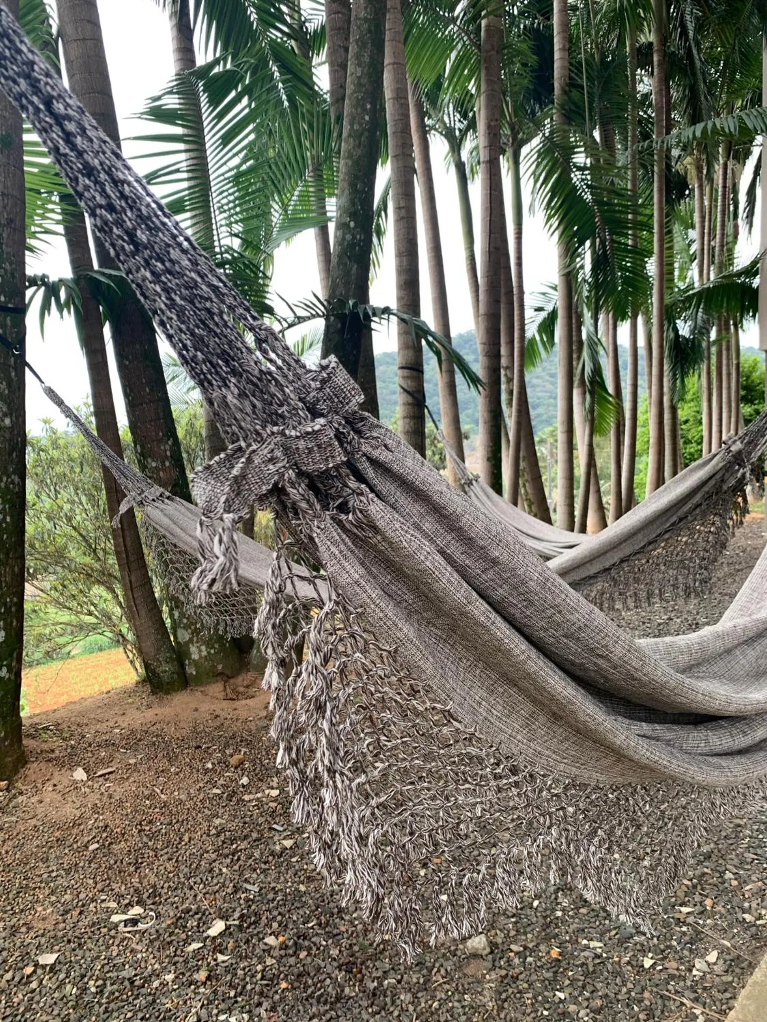 Natural landscape in Real NOB Hotel