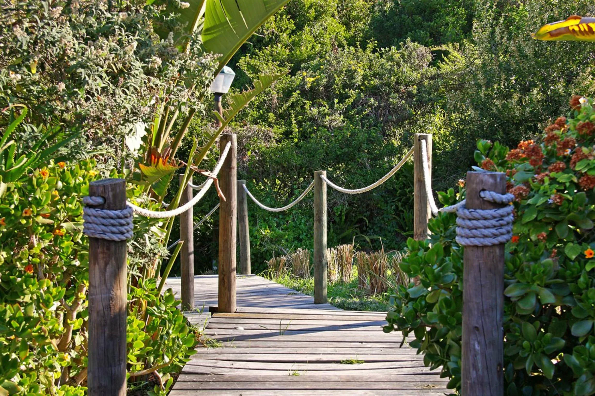 Garden in Shangri-La Manor