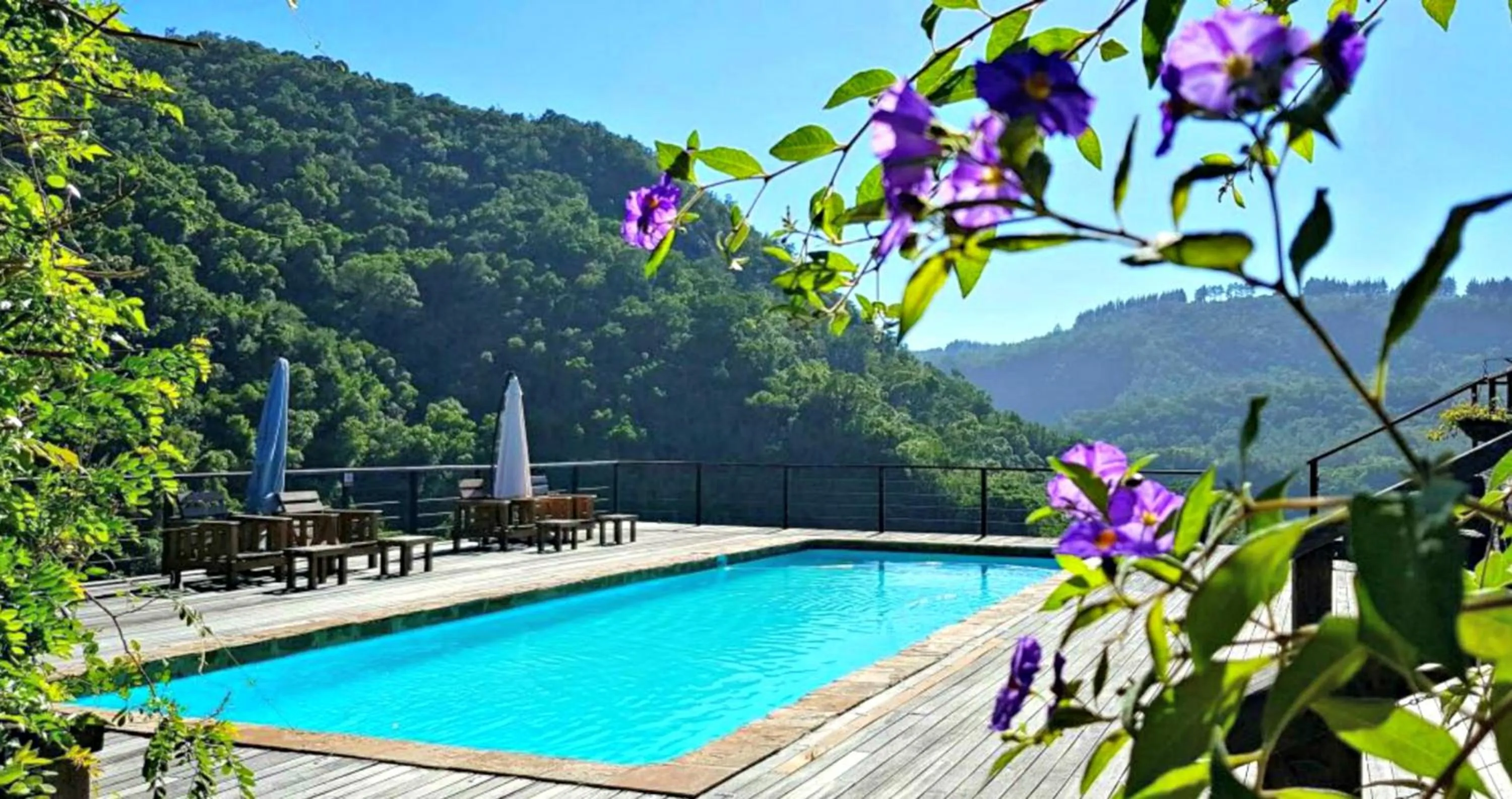 Summer in Shangri-La Manor