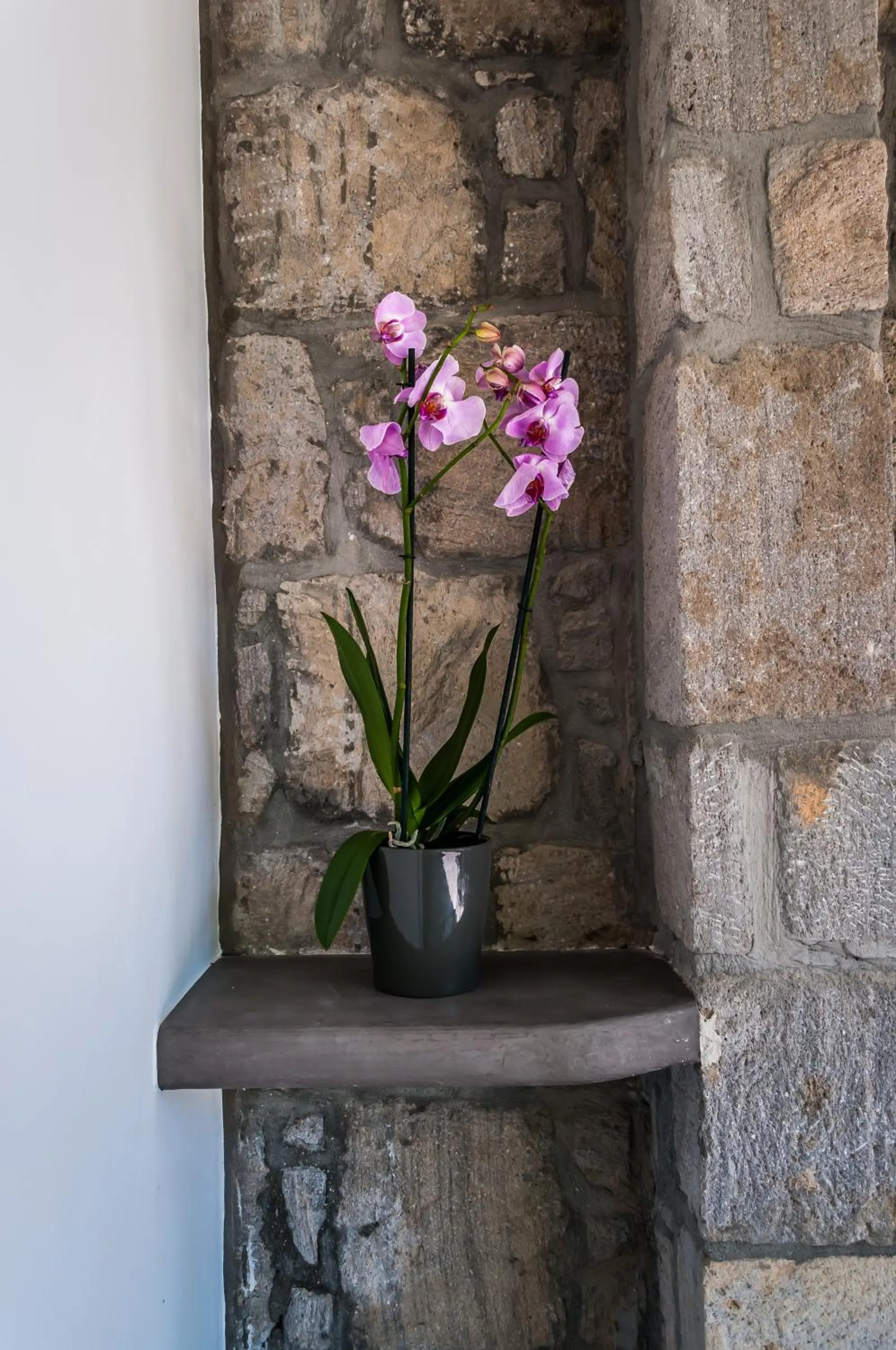 Decorative detail in Melagrana