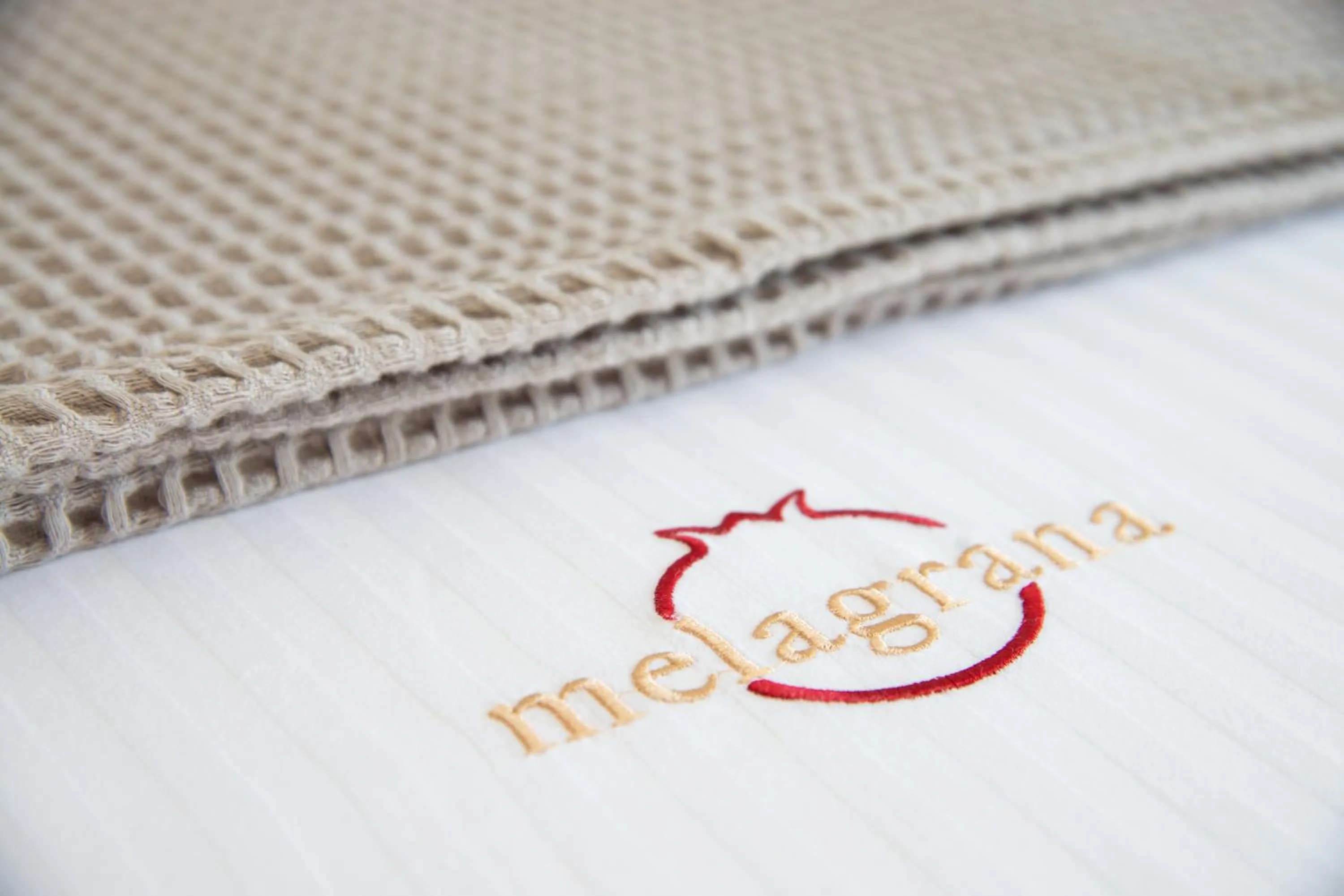 Decorative detail in Melagrana