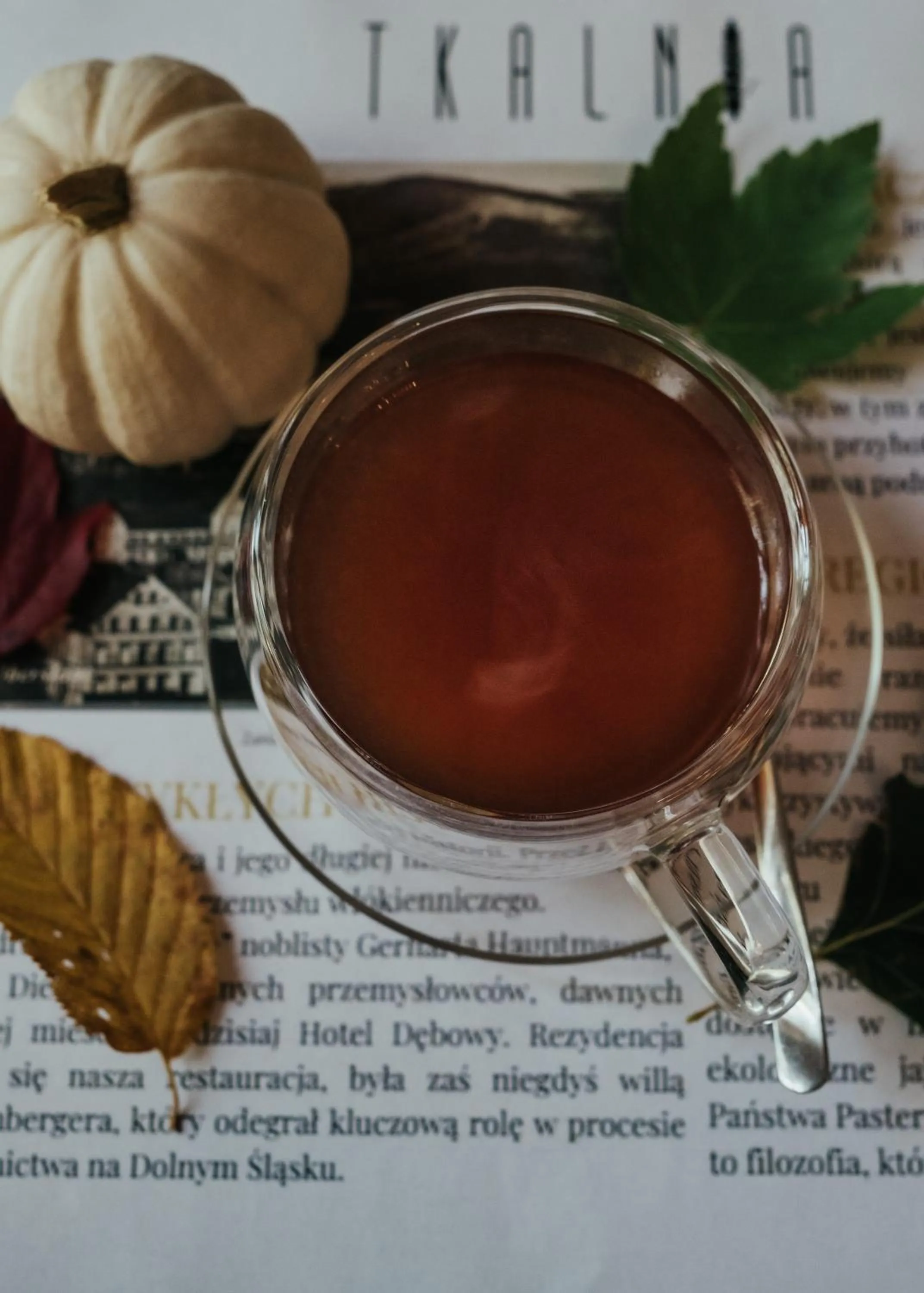 Hotel Dębowy Biowellness & SPA Góry Sowie