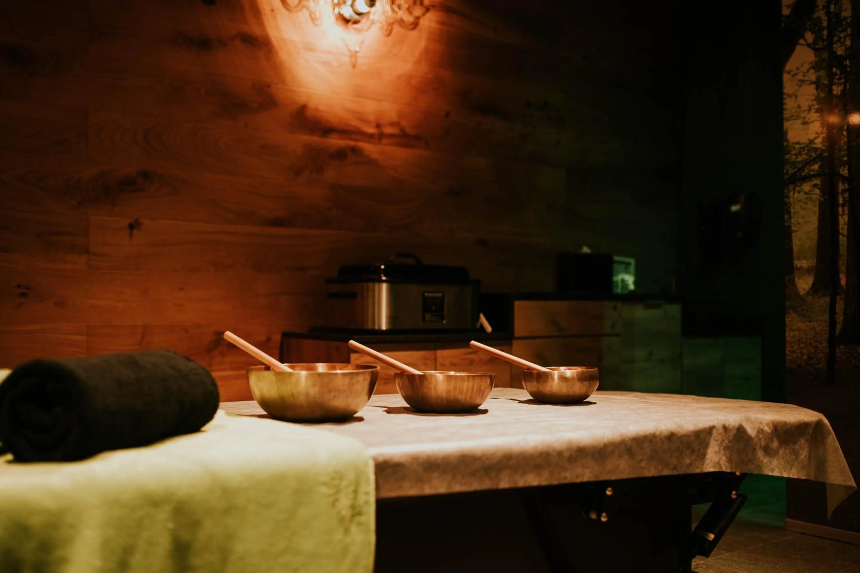 Hotel Dębowy Biowellness & SPA Góry Sowie