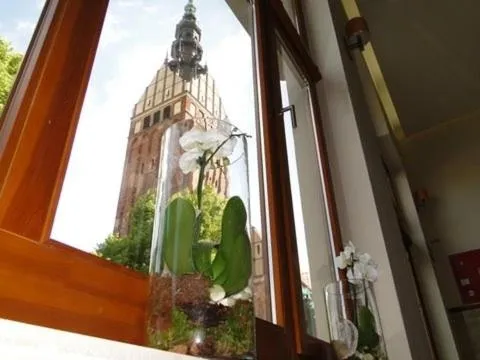 View (from property/room) in Hotel Atrium