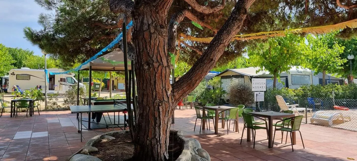 Camping el Pinar Platja