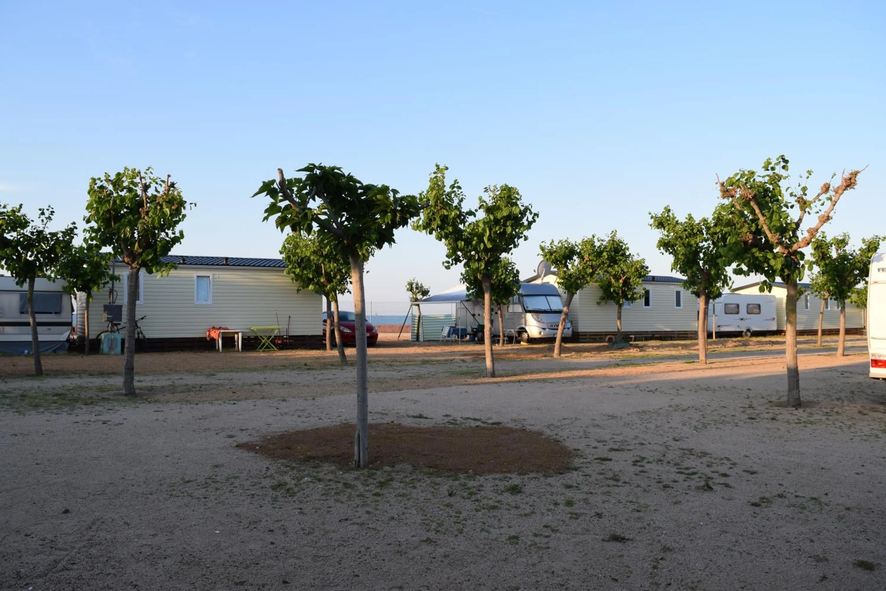 Day in Camping el Pinar Platja