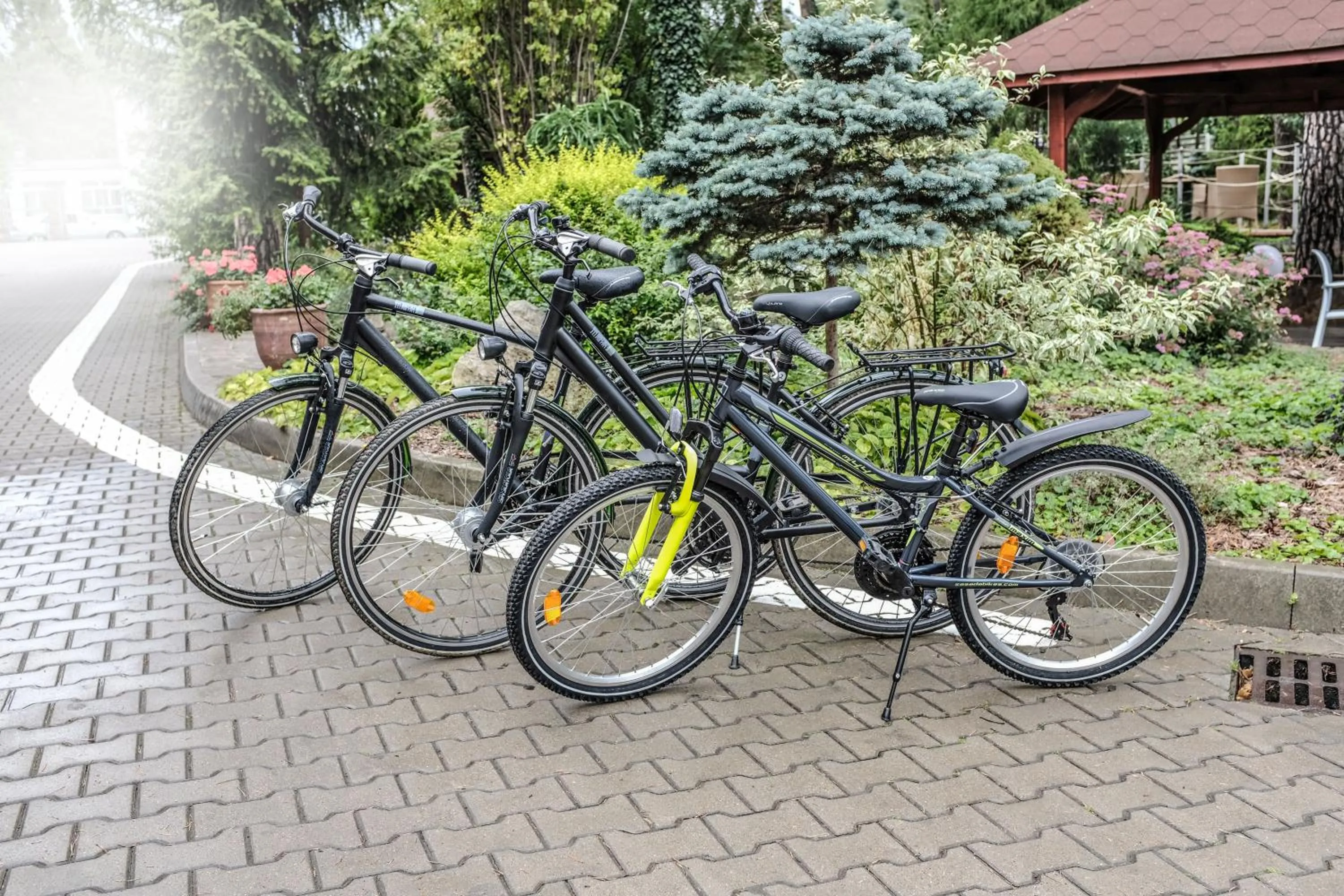 Cycling in Hotel Europa Starachowice