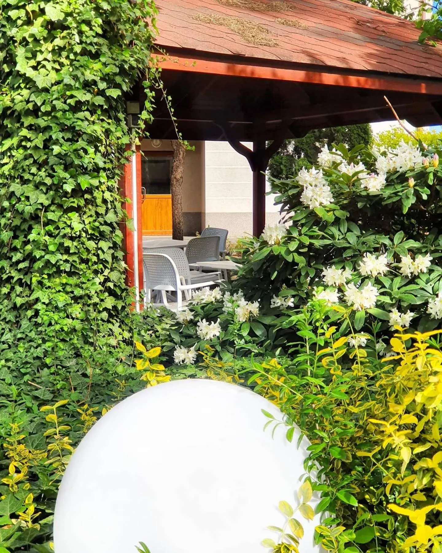 Garden in Hotel Europa Starachowice