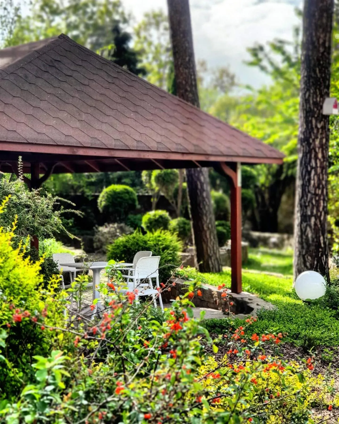 Garden in Hotel Europa Starachowice