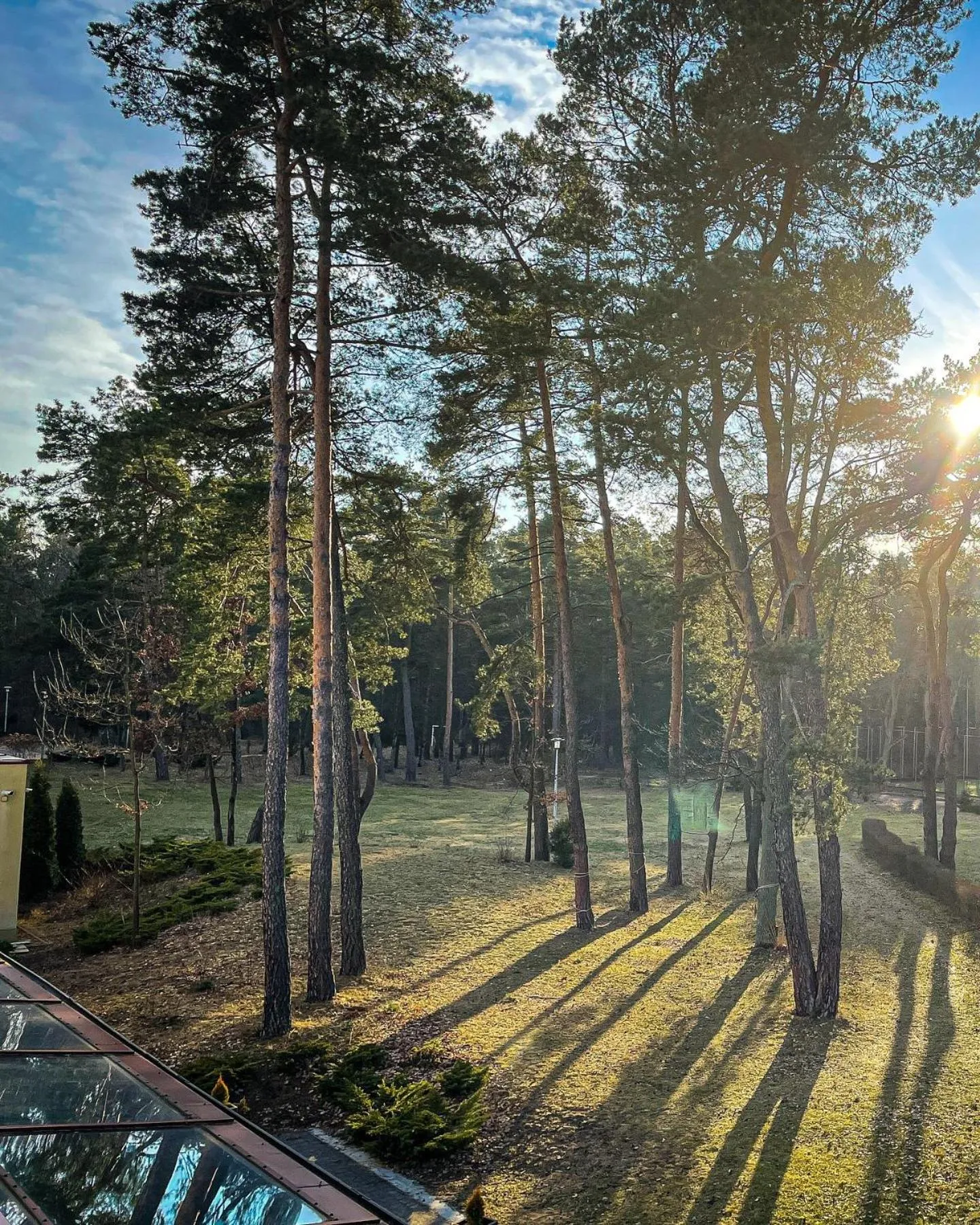 Landmark view in Park Rekreacyjno-Biznesowy Las Woda