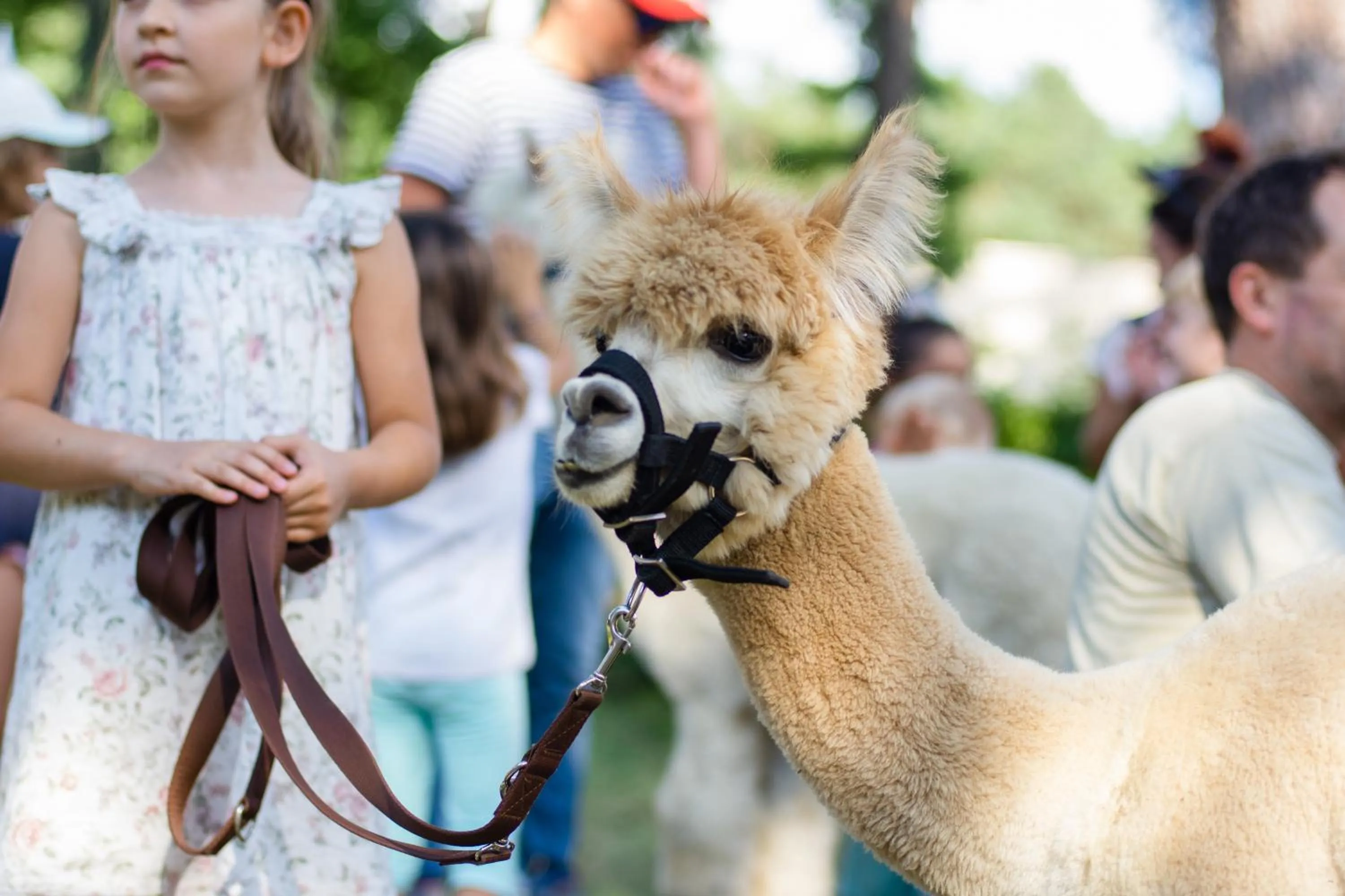 Kids's club in Park Rekreacyjno-Biznesowy Las Woda