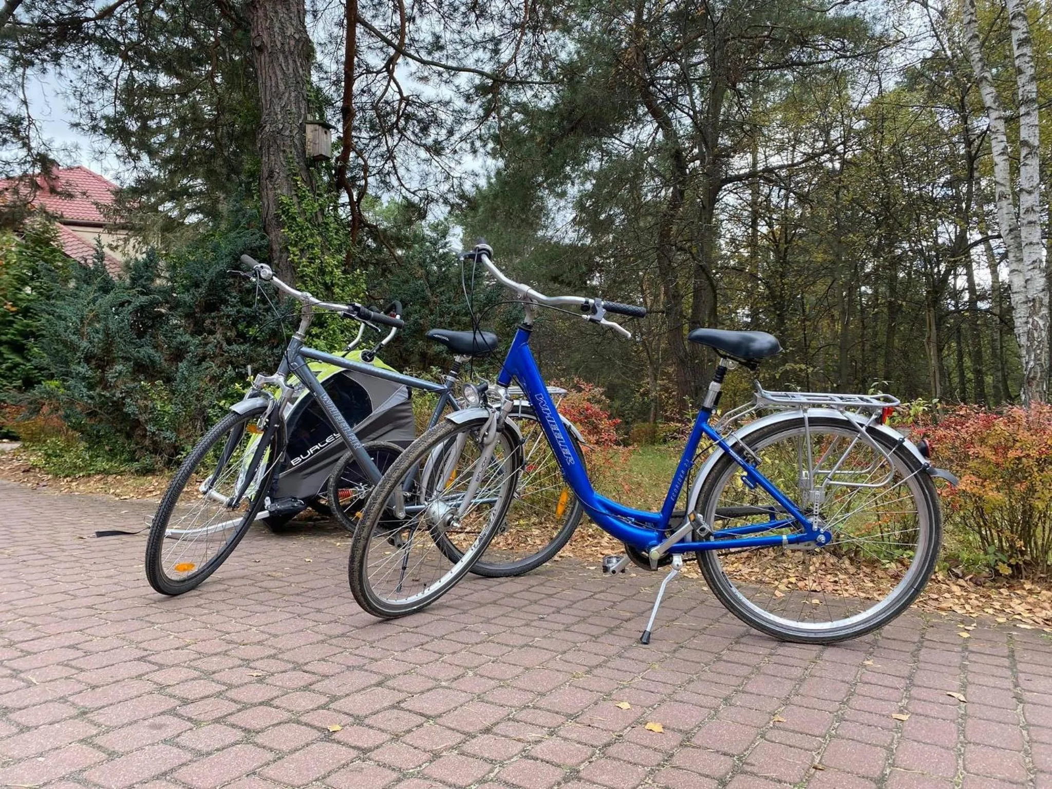 Sports in Park Rekreacyjno-Biznesowy Las Woda