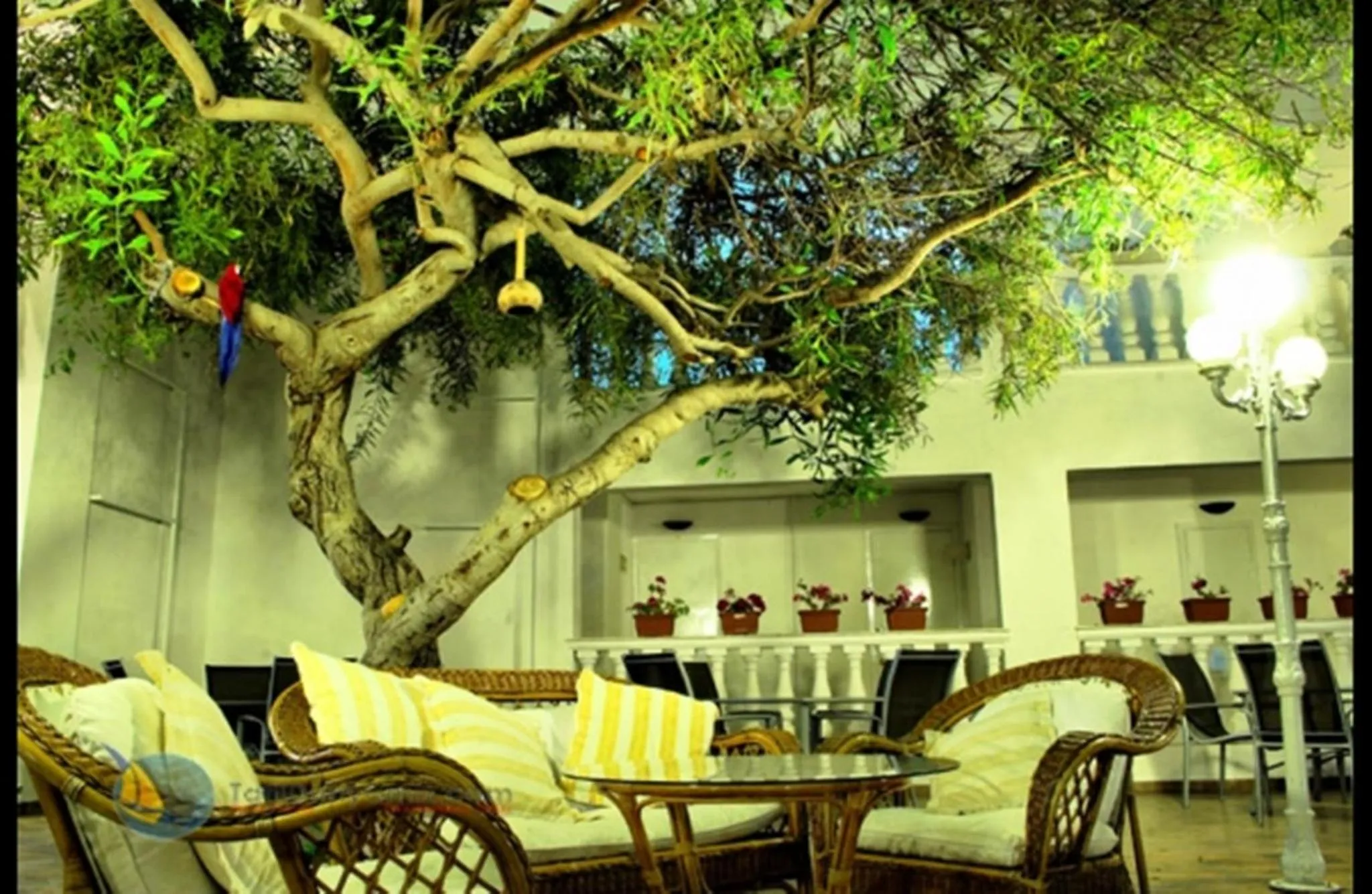 Patio in Hotel Golden Gate