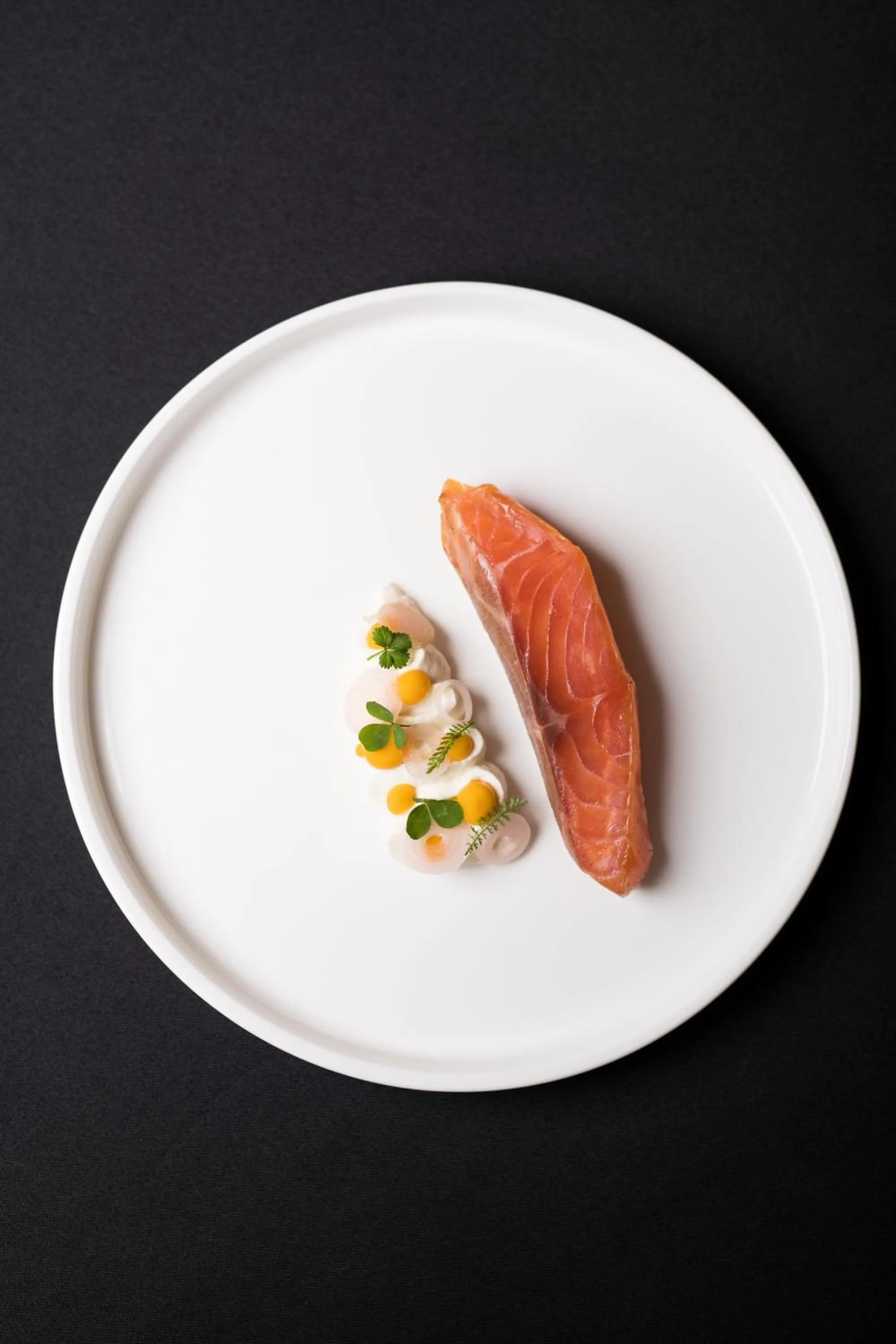 HOT_elarnia Hotel & Spa