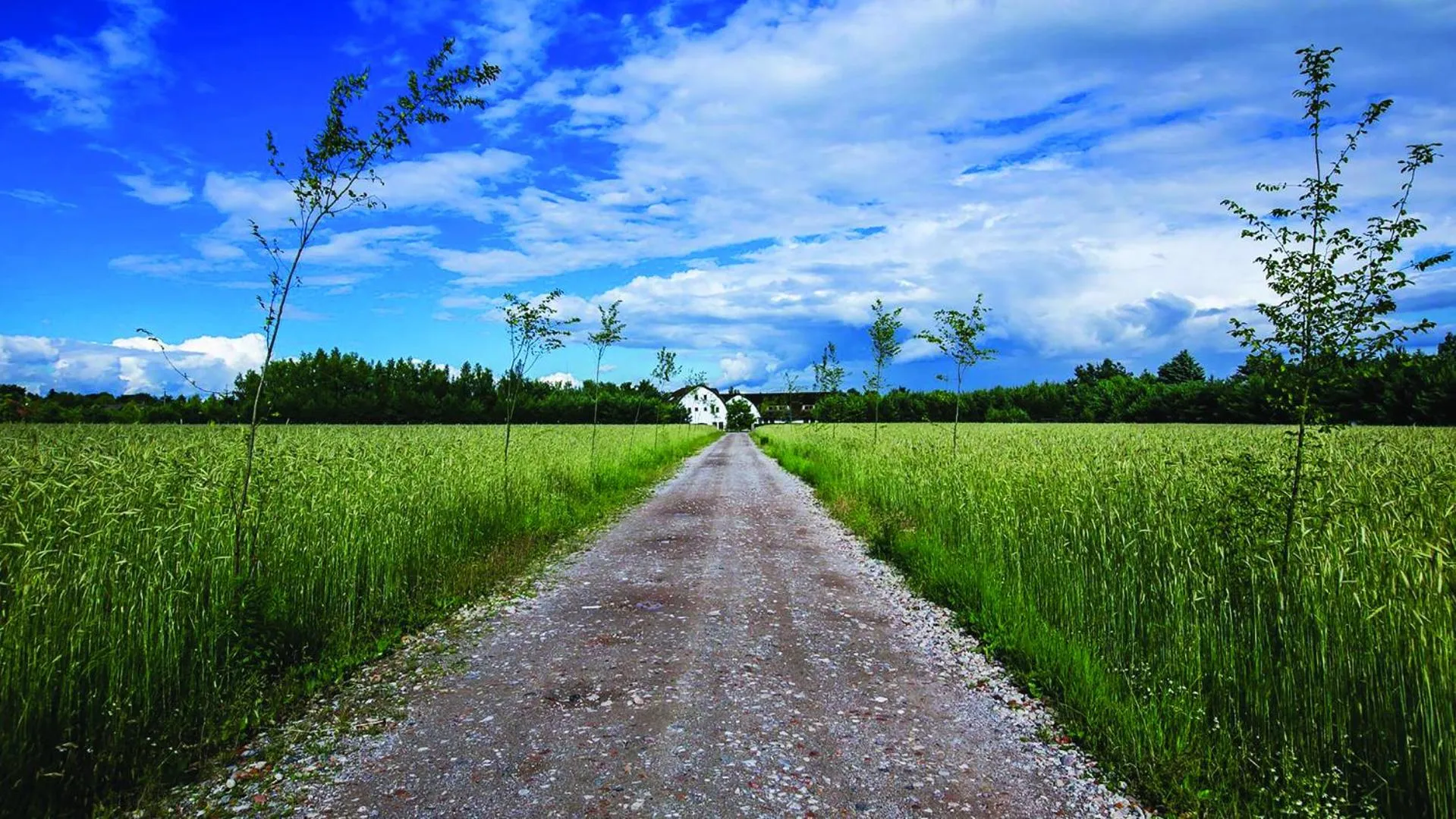 Neighbourhood in HOT_elarnia Hotel & Spa