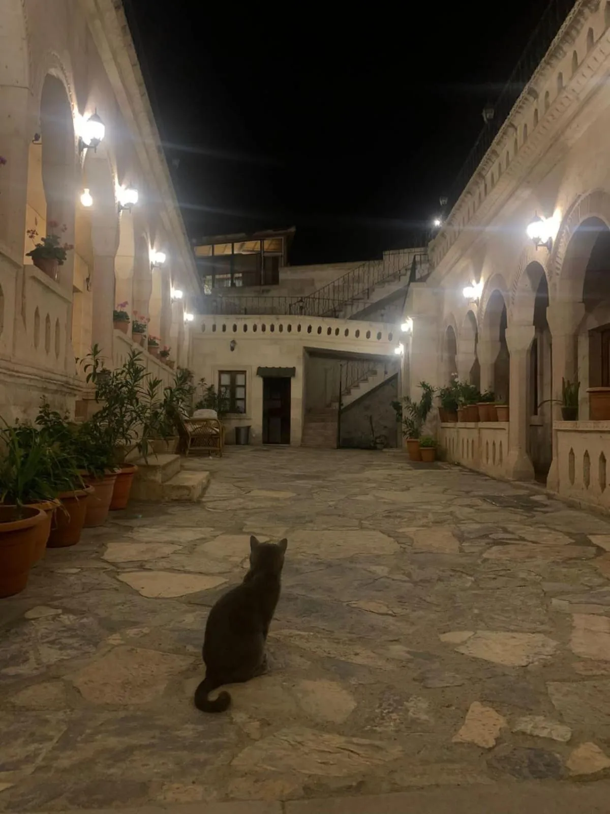 Night in Nature Park Cave Hotel