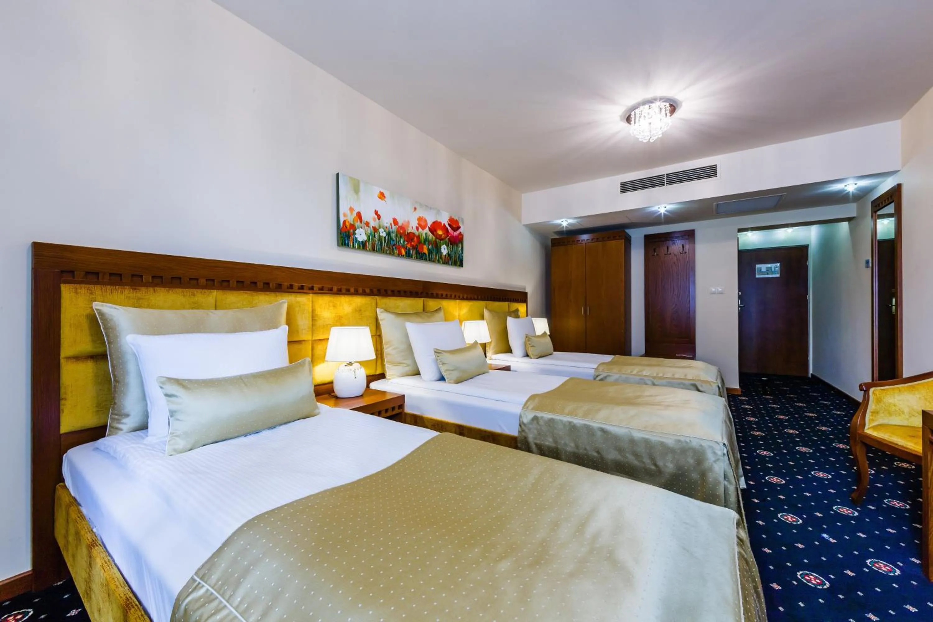 Photo of the whole room, Bed in Grein Hotel