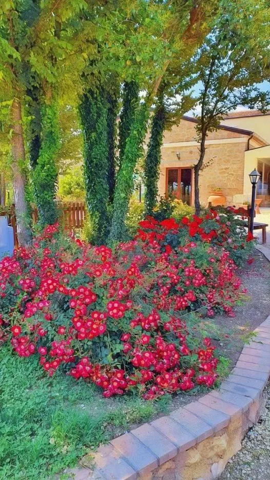 Garden view in AGRITURISMO iL PIOPPETO