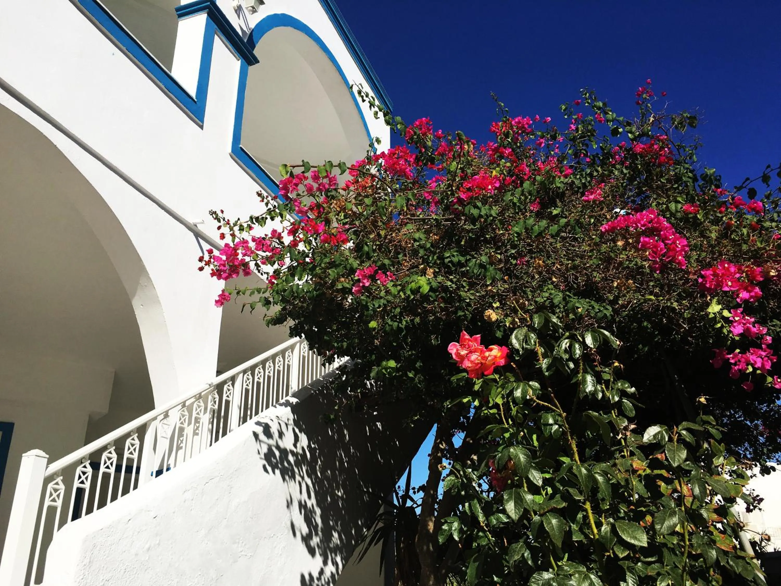 Balcony/Terrace in Hotel Lodos