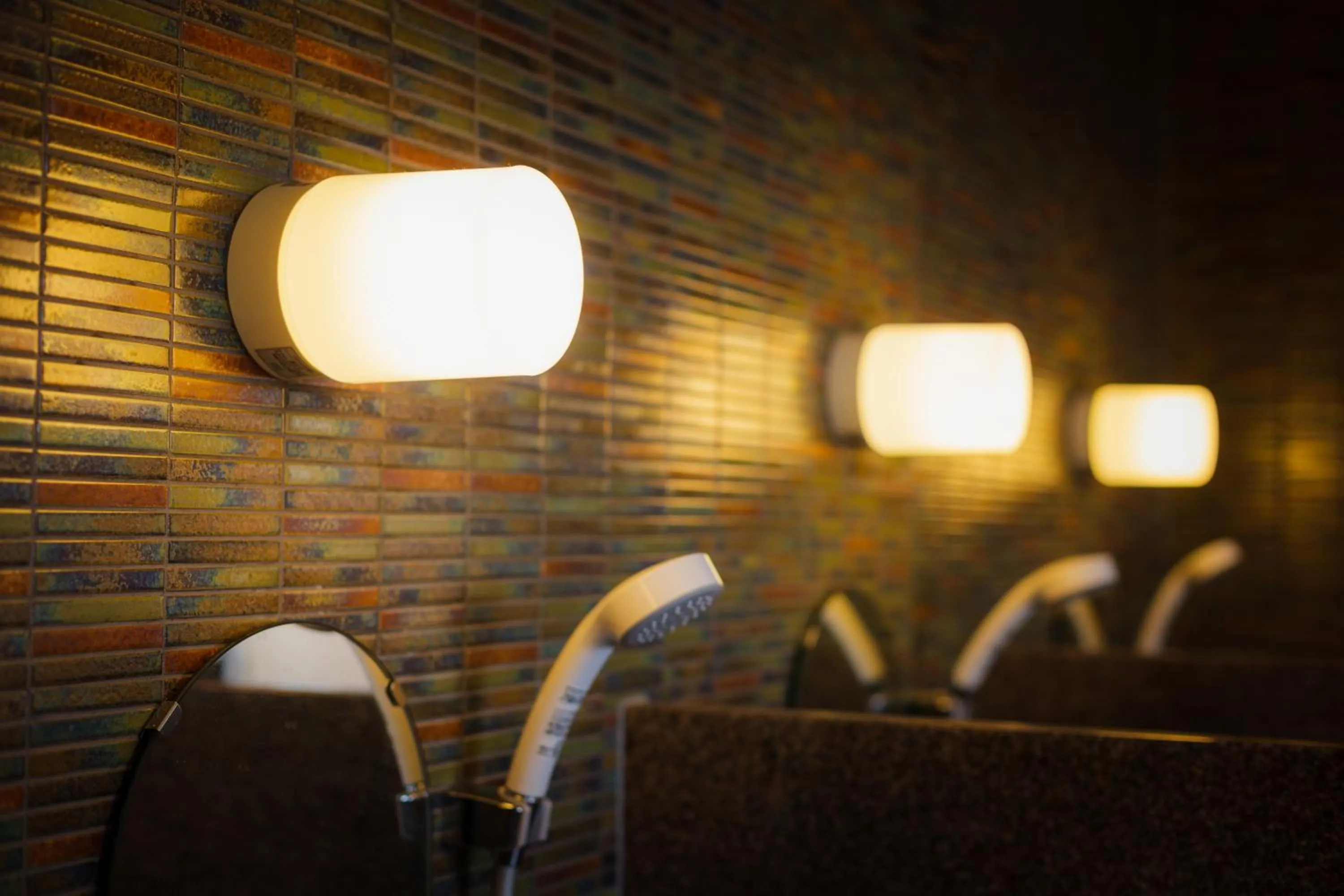 Public Bath in Hotel Katsuyama Premiere