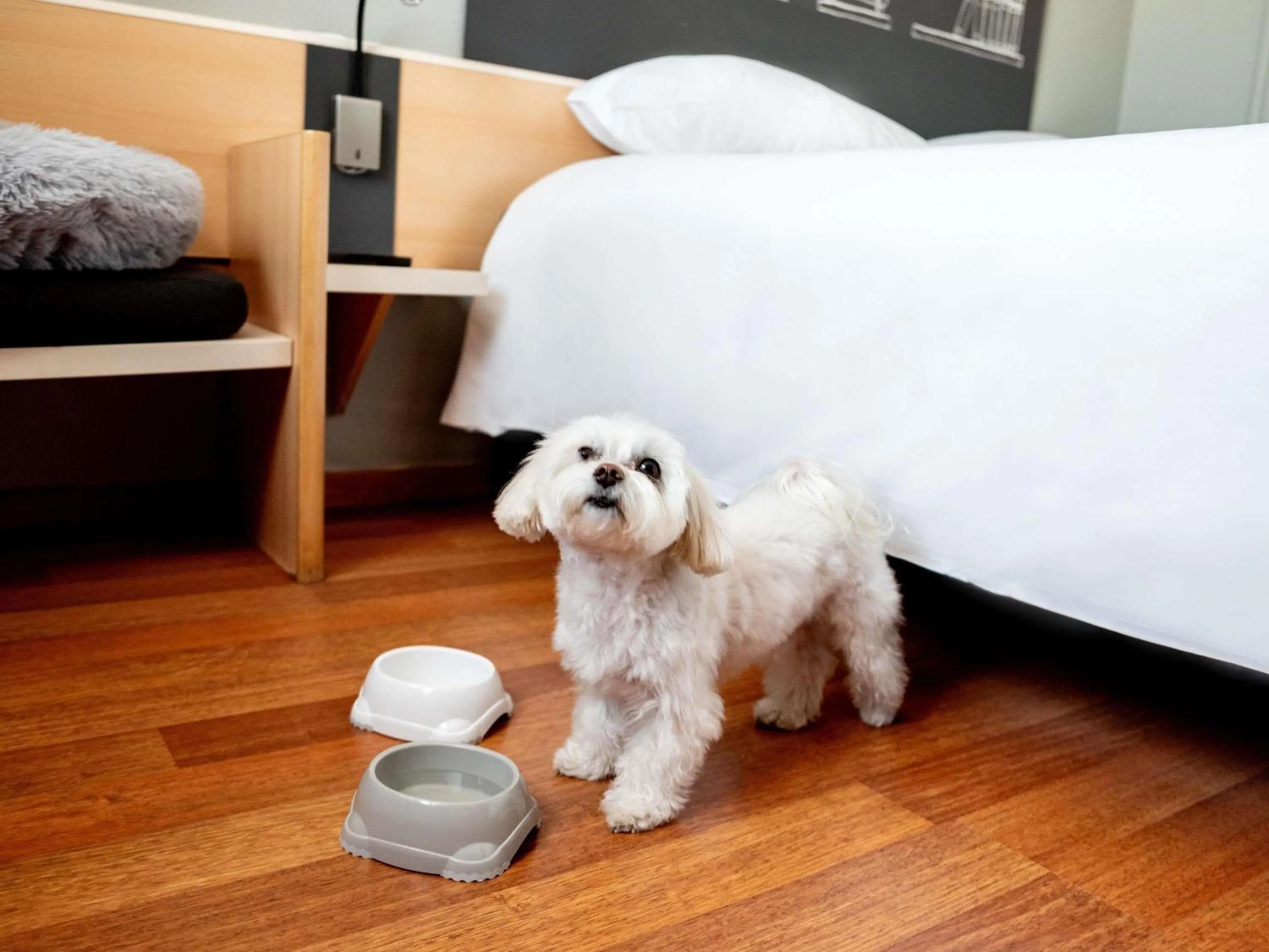 Bedroom in Ibis Poznan Stare Miasto