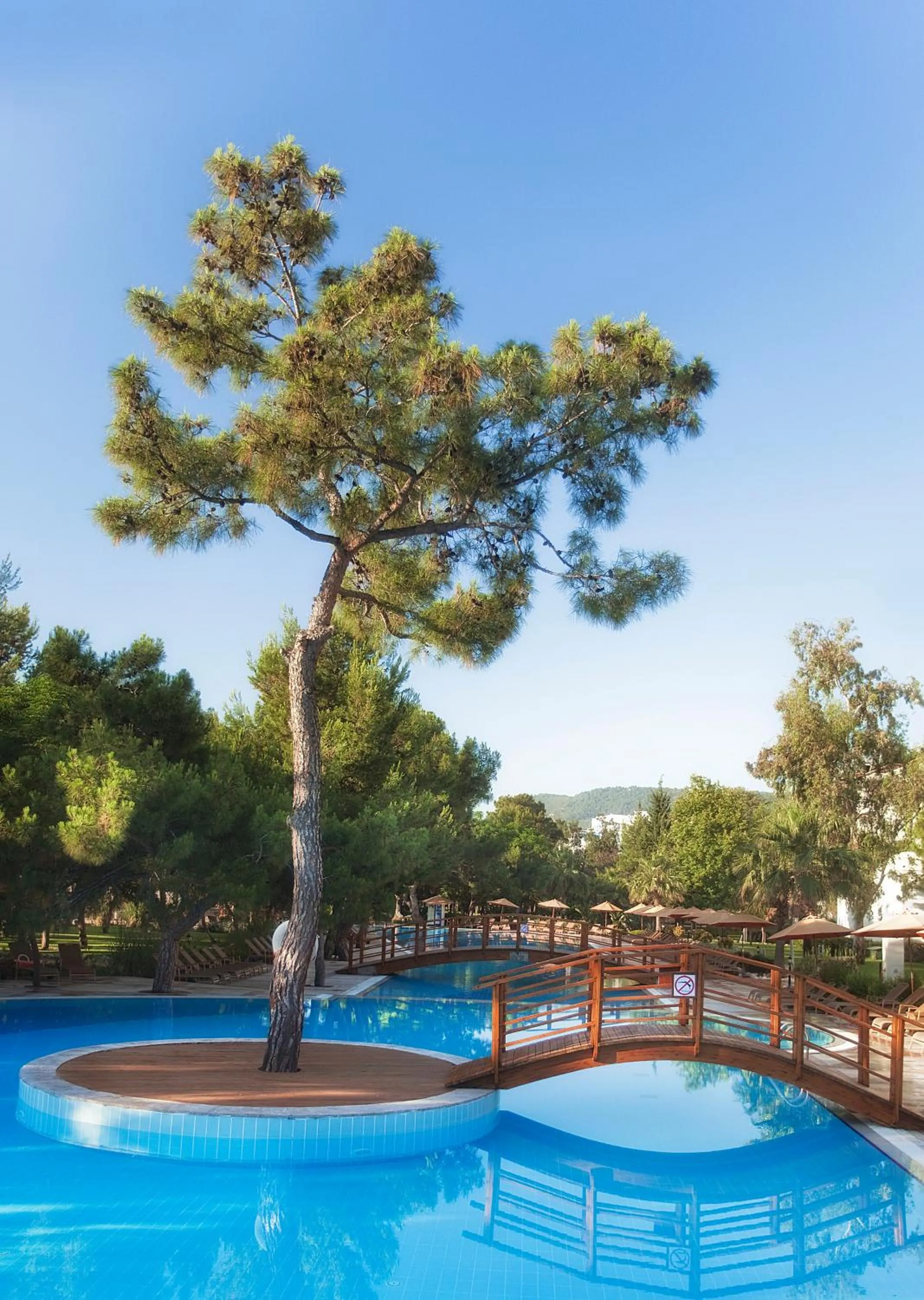 Spring in Akka Antedon Hotel - Premium All Inclusive