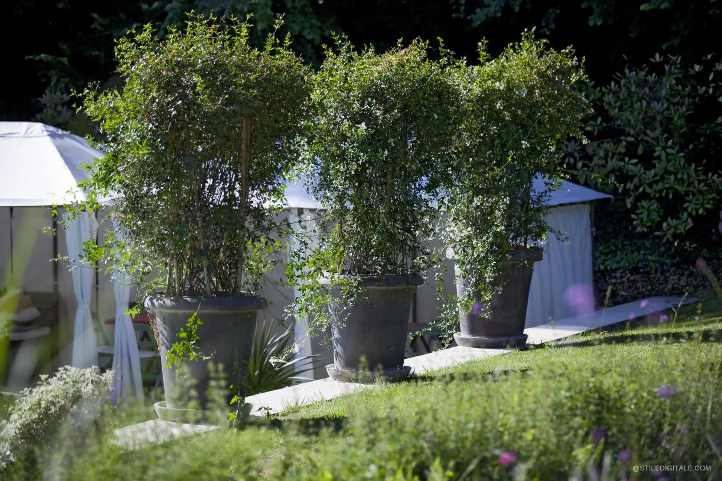 Area and facilities in Pragatto Hills by Casino di Pragatto