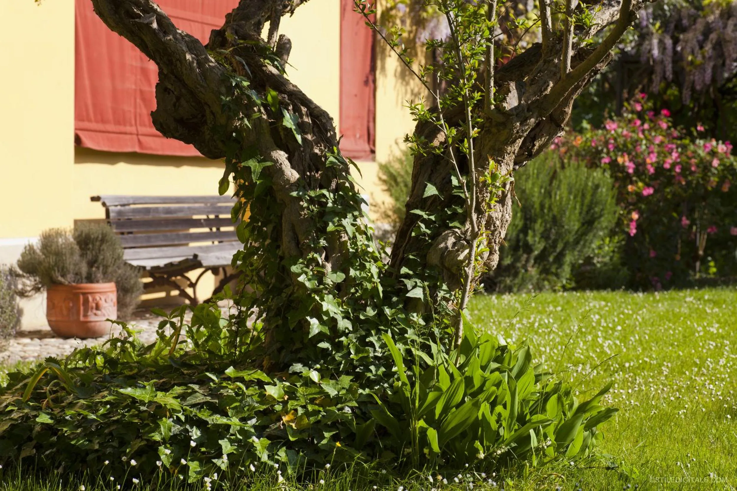 Garden view in Pragatto Hills by Casino di Pragatto